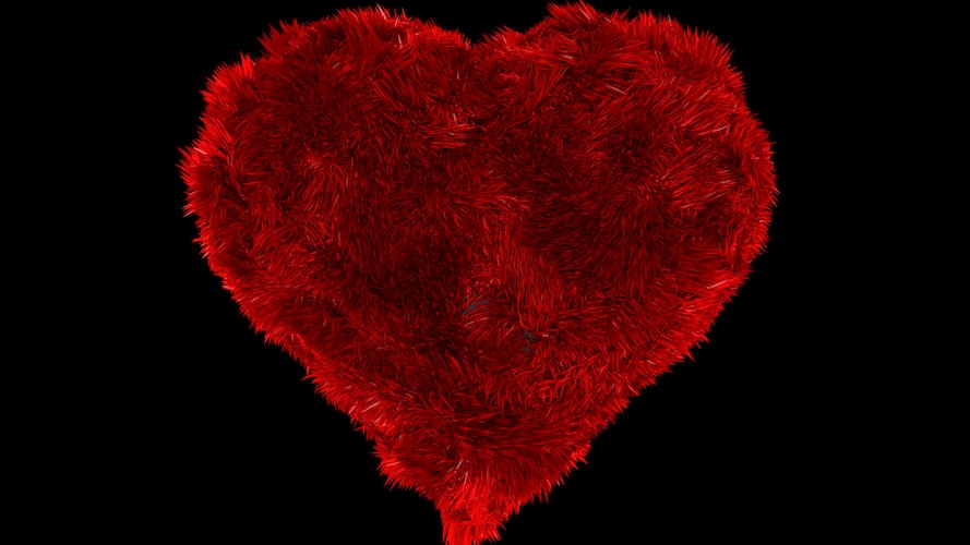 Heart Rug - image 1