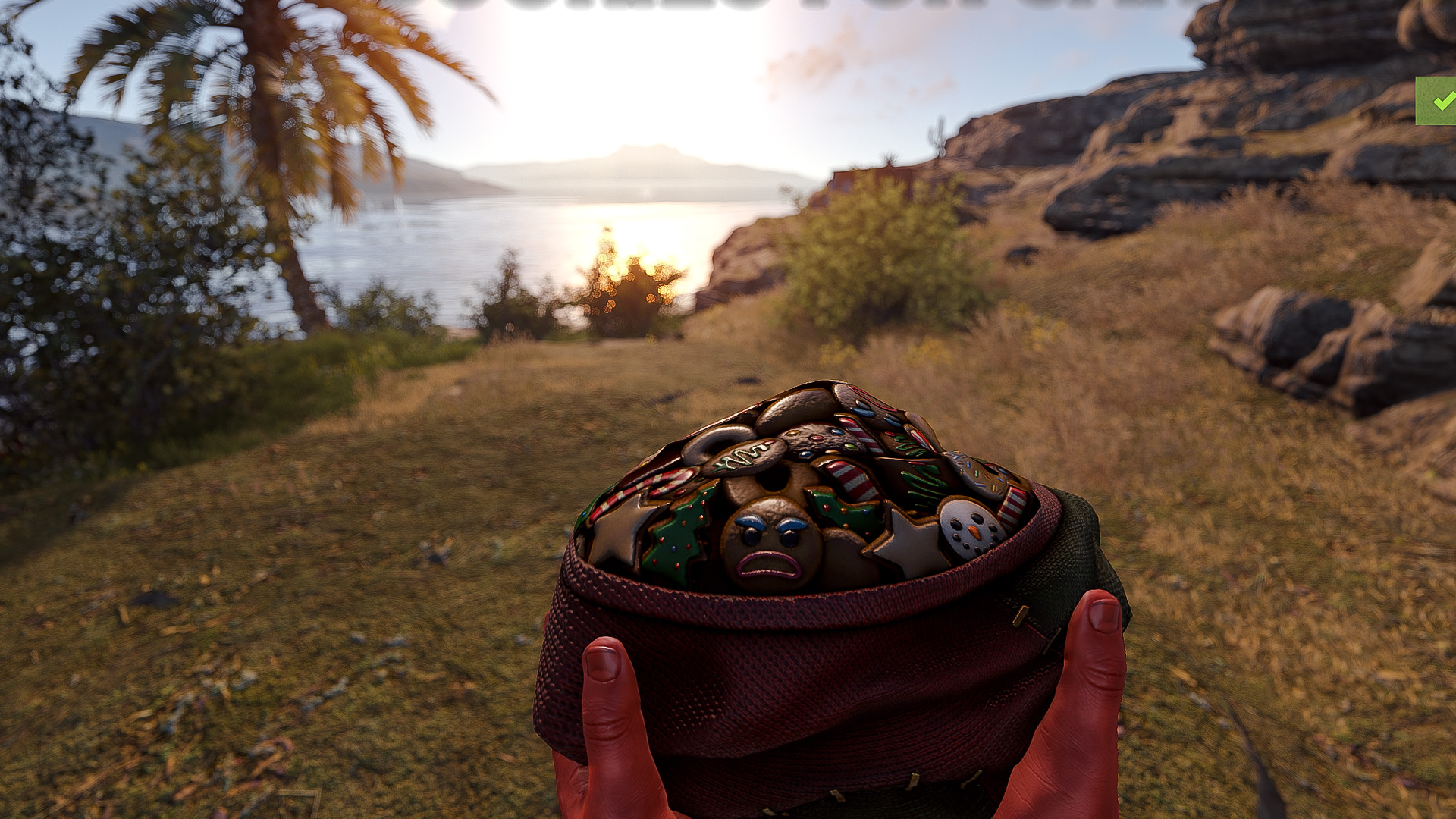 Santa's Cookie Sack thumbnail 3