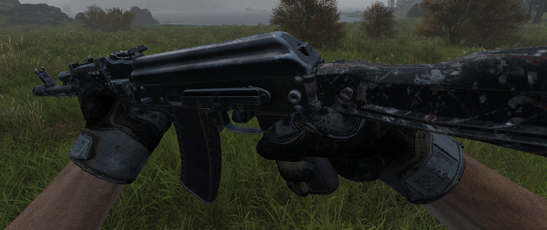Steam Community :: Guide :: Стресс-тест штурмовых винтовок Dayz ...