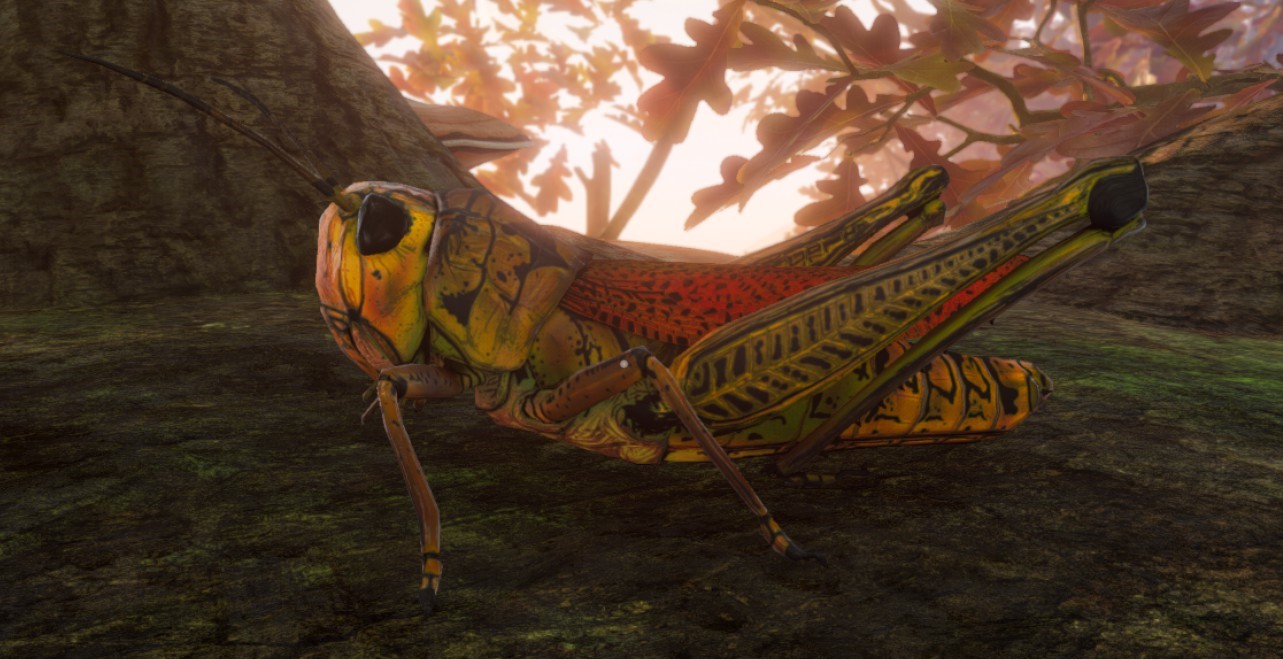 Steam Community :: Guide :: Mounts, Their Colors, and How to Get Them!