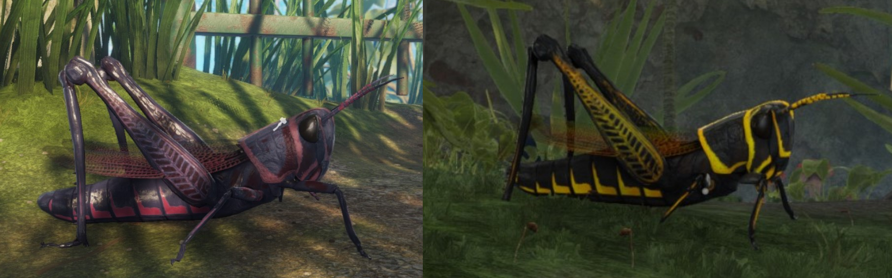 Steam Community :: Guide :: Mounts, Their Colors, and How to Get Them!