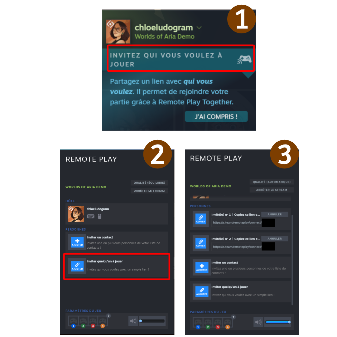 Steam Community :: Guide :: [EN & FR] How to use Remote Play Together