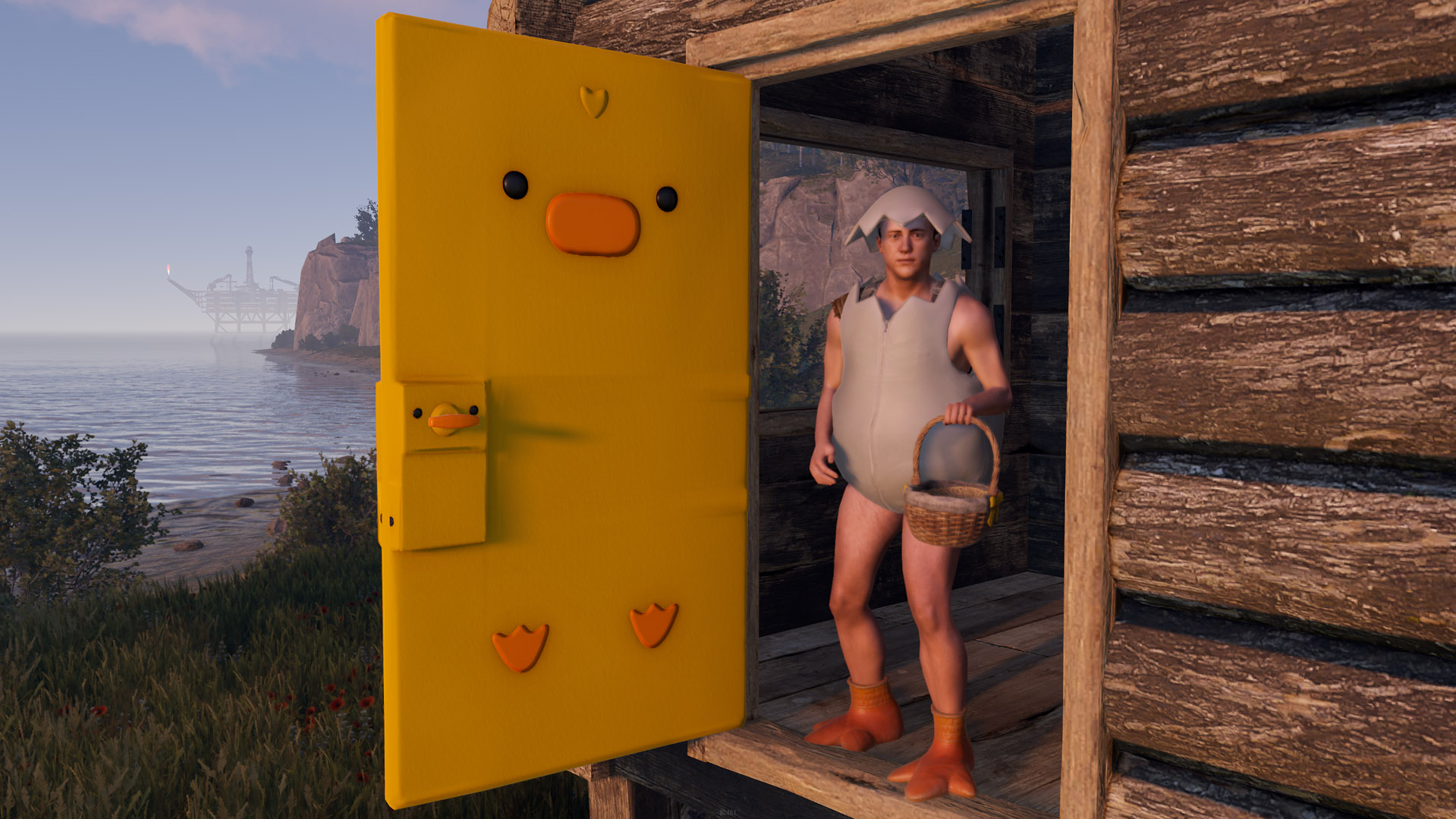Easter Chick Door thumbnail 7