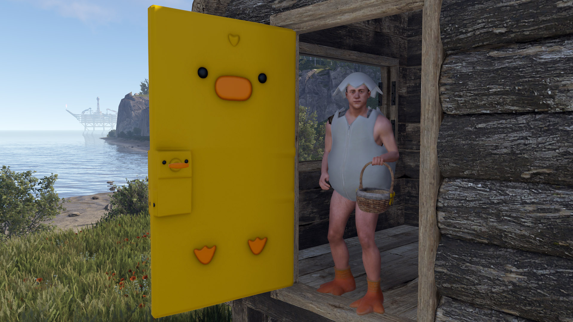 Easter Chick Door thumbnail 6