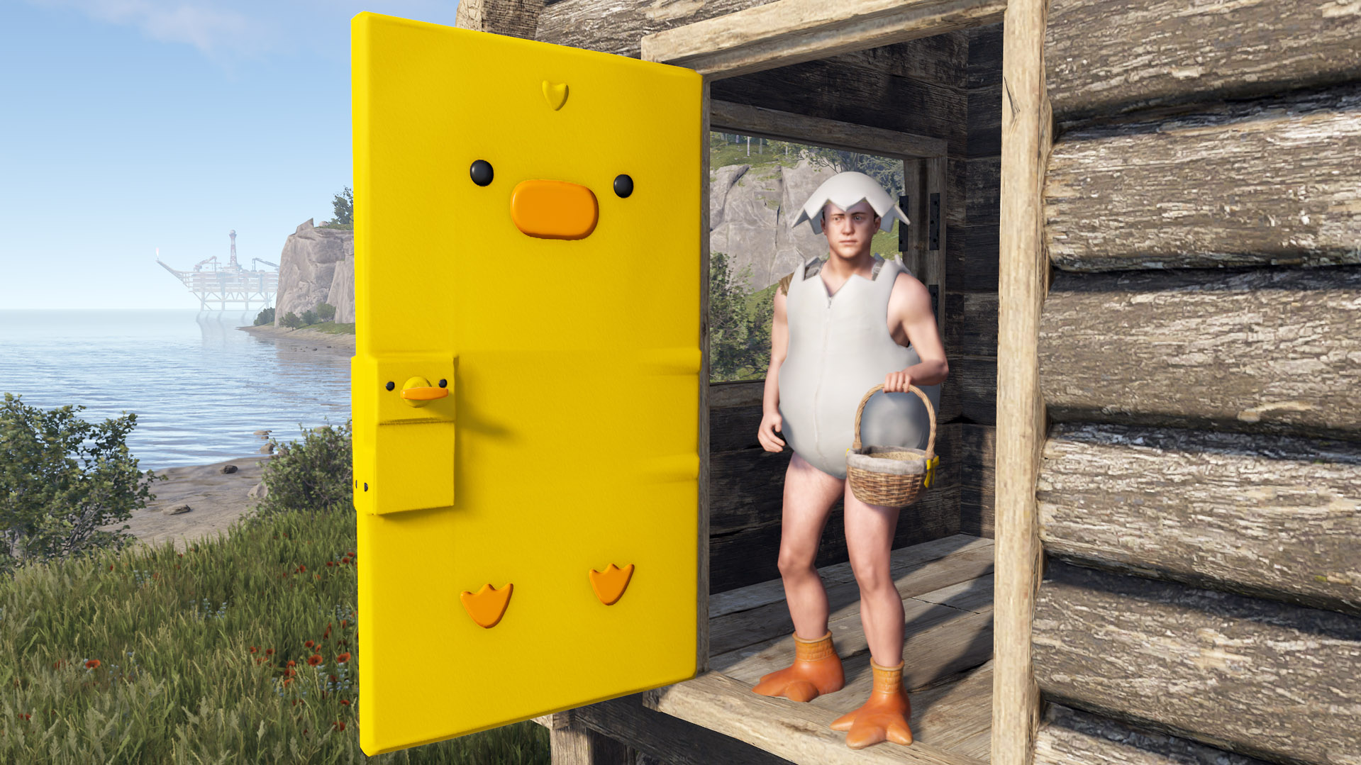 Easter Chick Door thumbnail 5