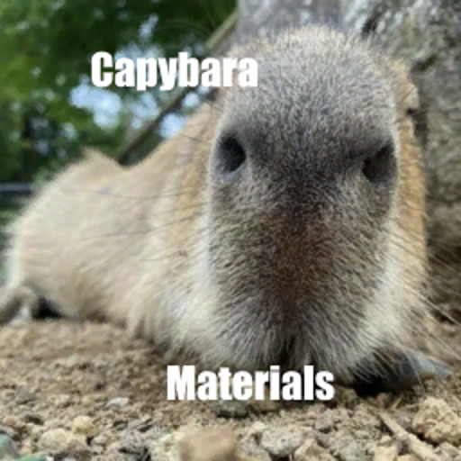 Капибара фото милашки Капибара фото милашки