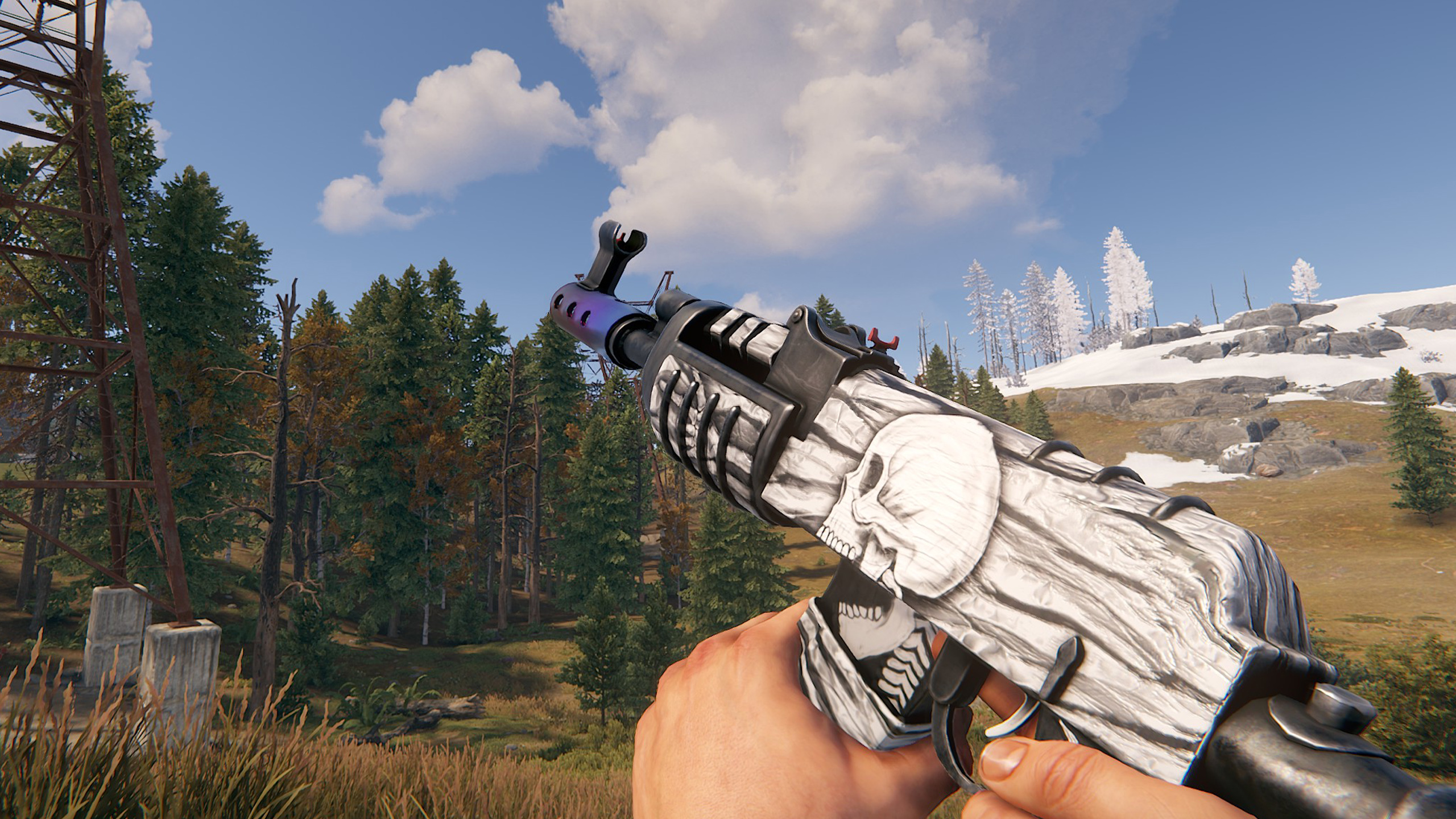 Arctic Skull AR thumbnail 8