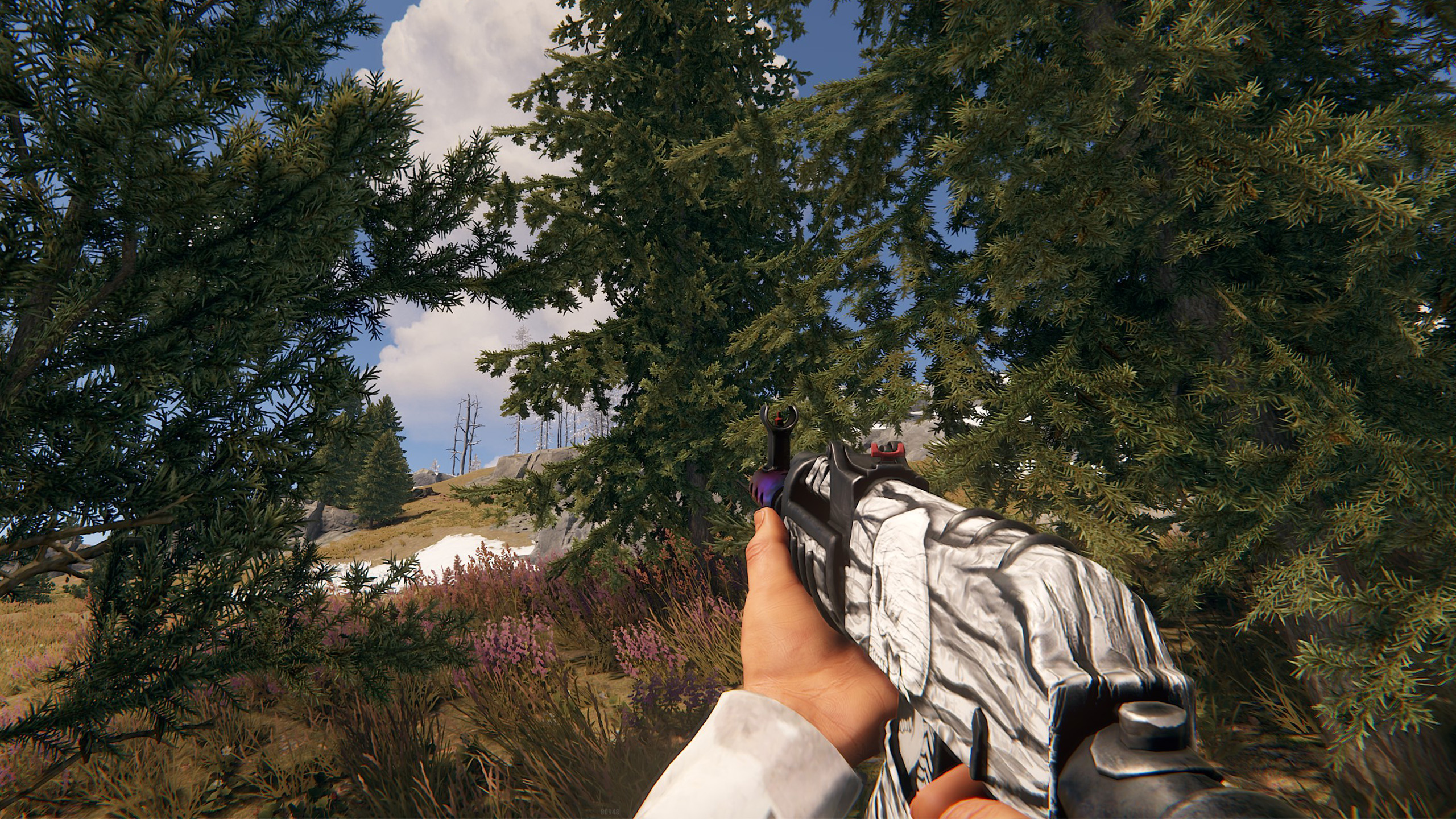 Arctic Skull AR thumbnail 7