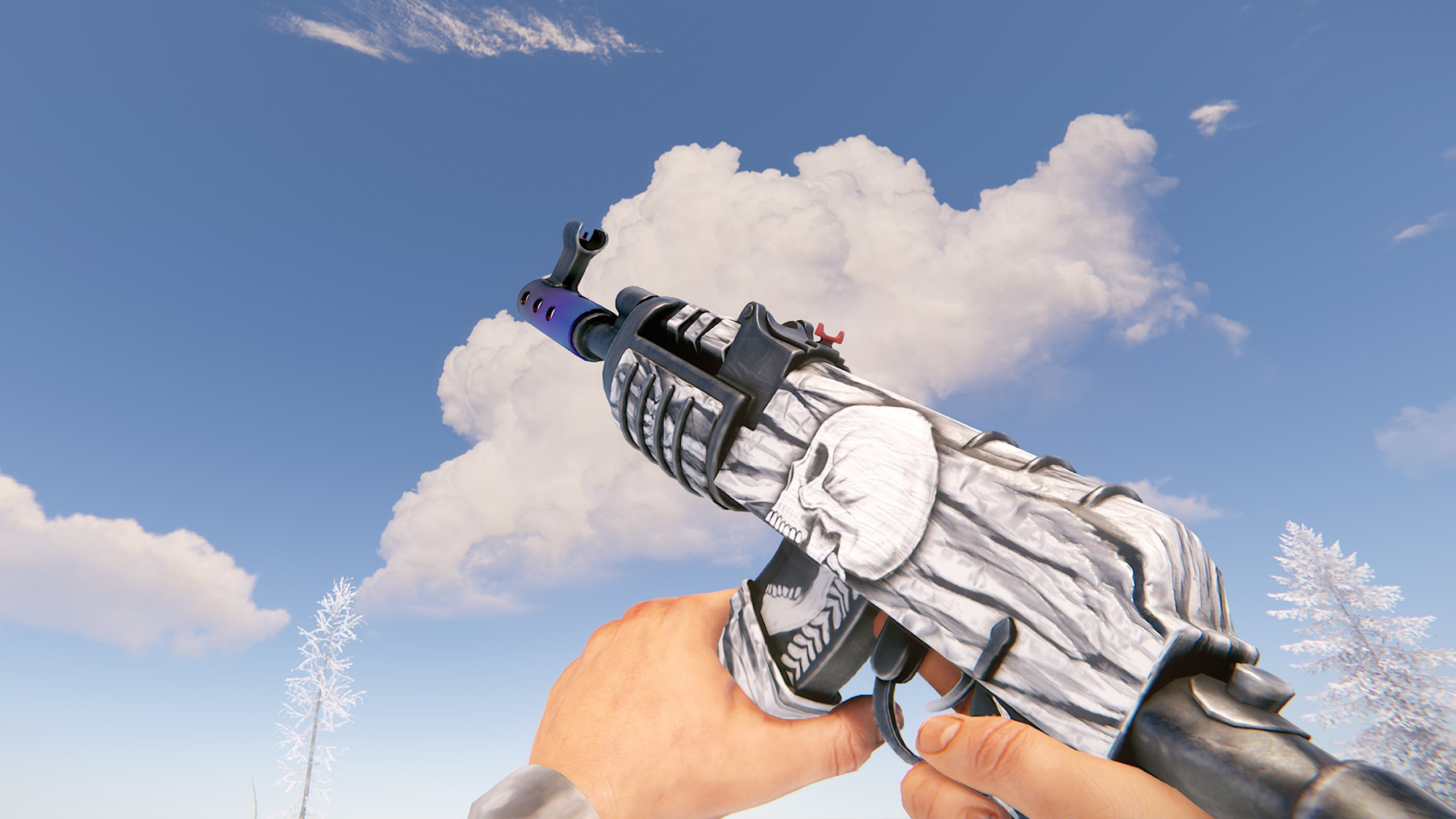 Arctic Skull AR thumbnail 3