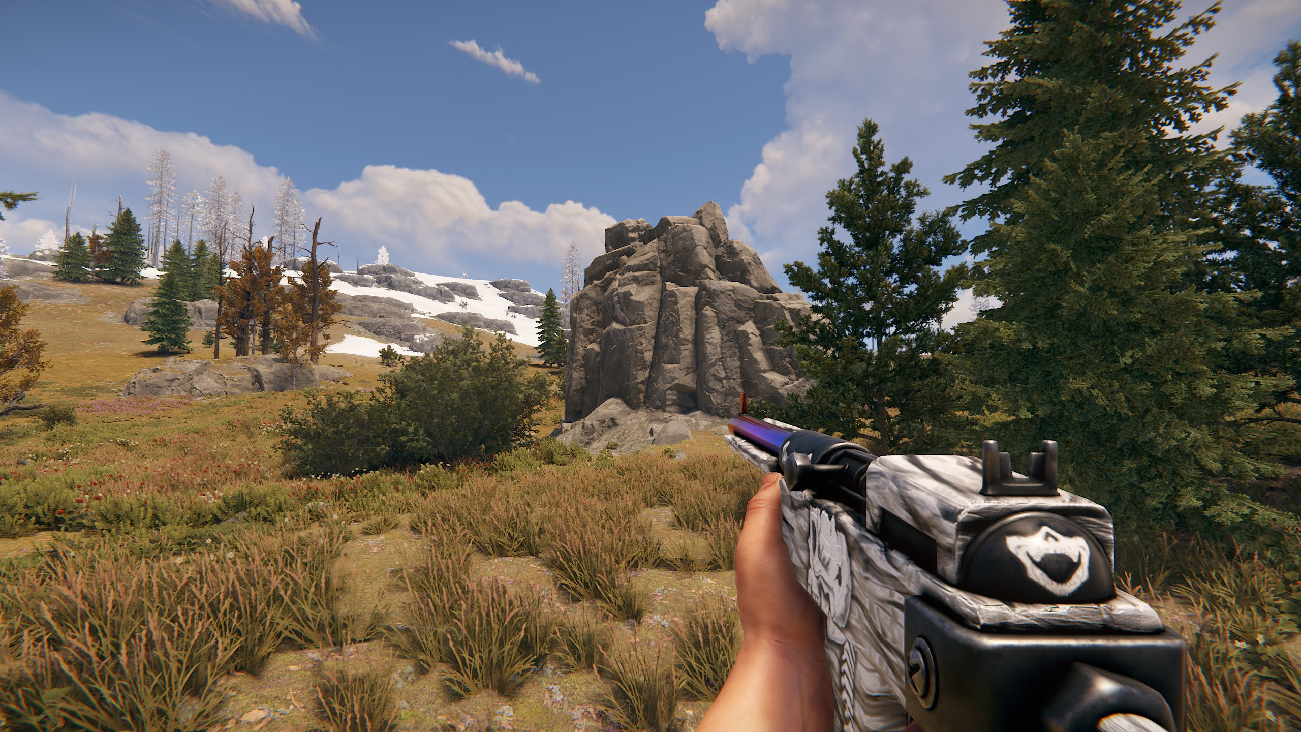 Arctic Skull SAR thumbnail 3