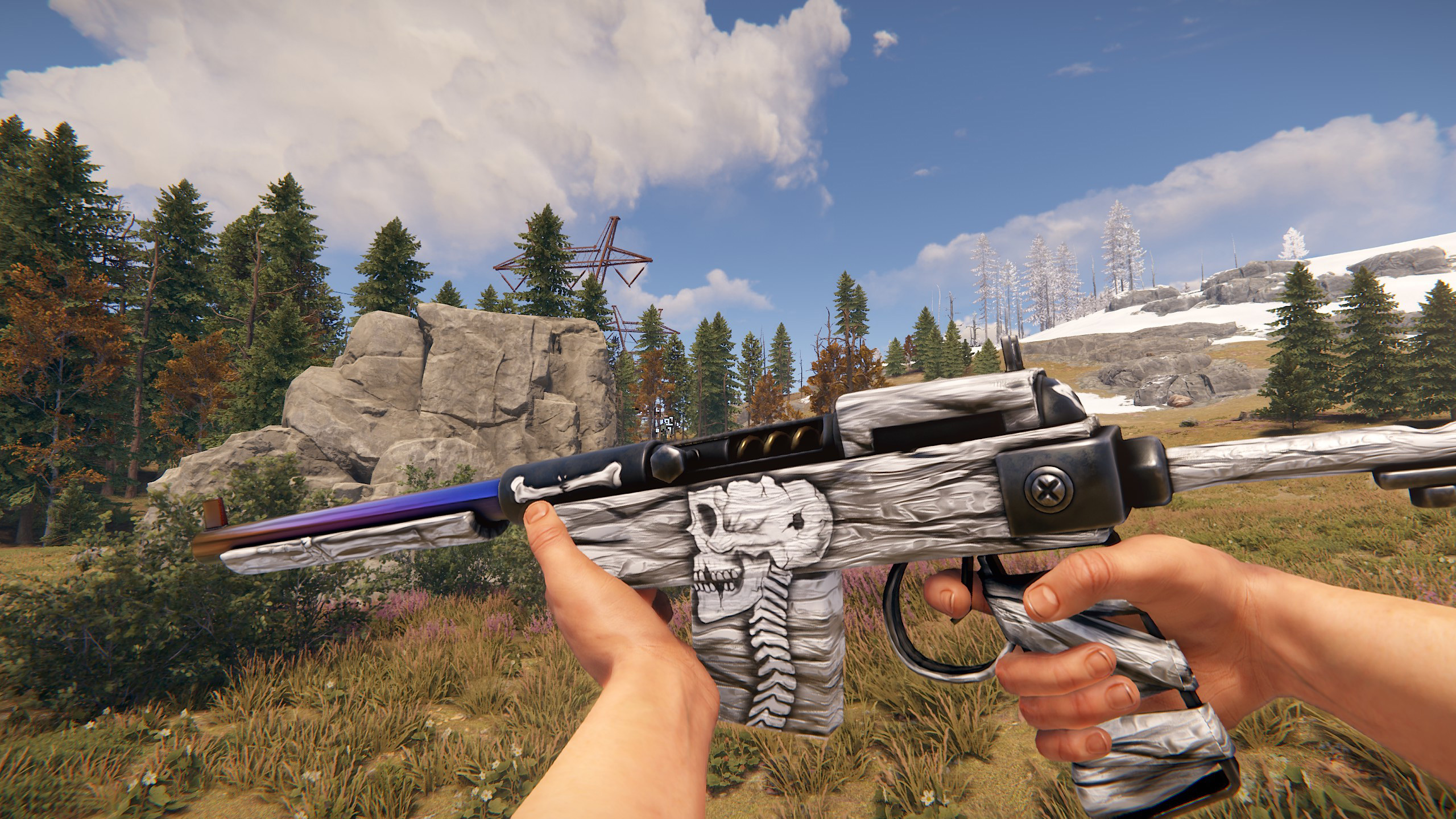Arctic Skull SAR thumbnail 2