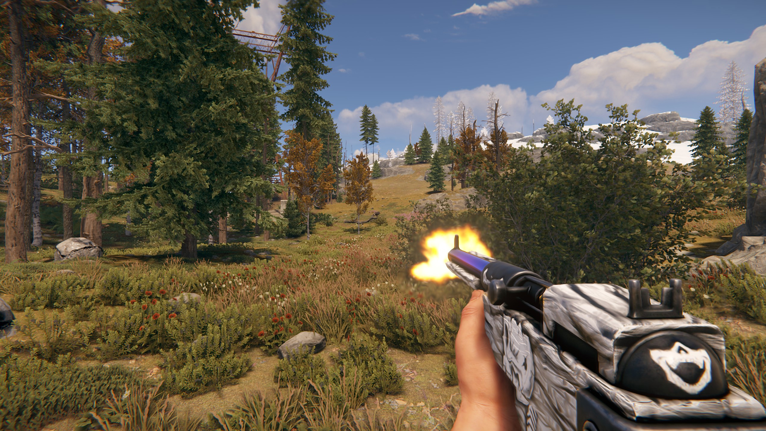 Arctic Skull SAR thumbnail 10