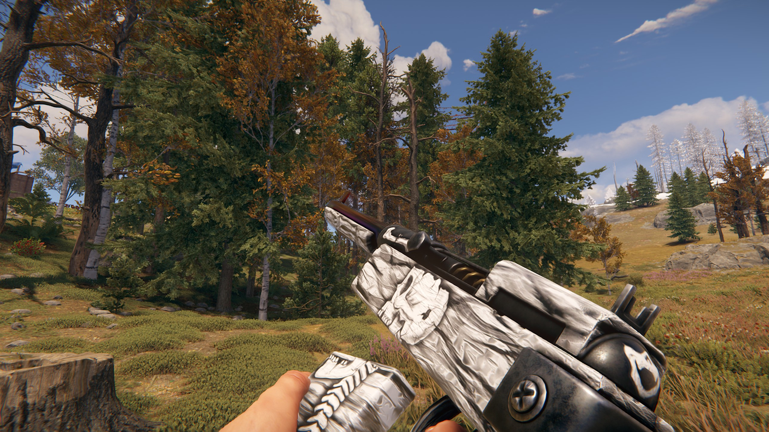 Arctic Skull SAR thumbnail 6