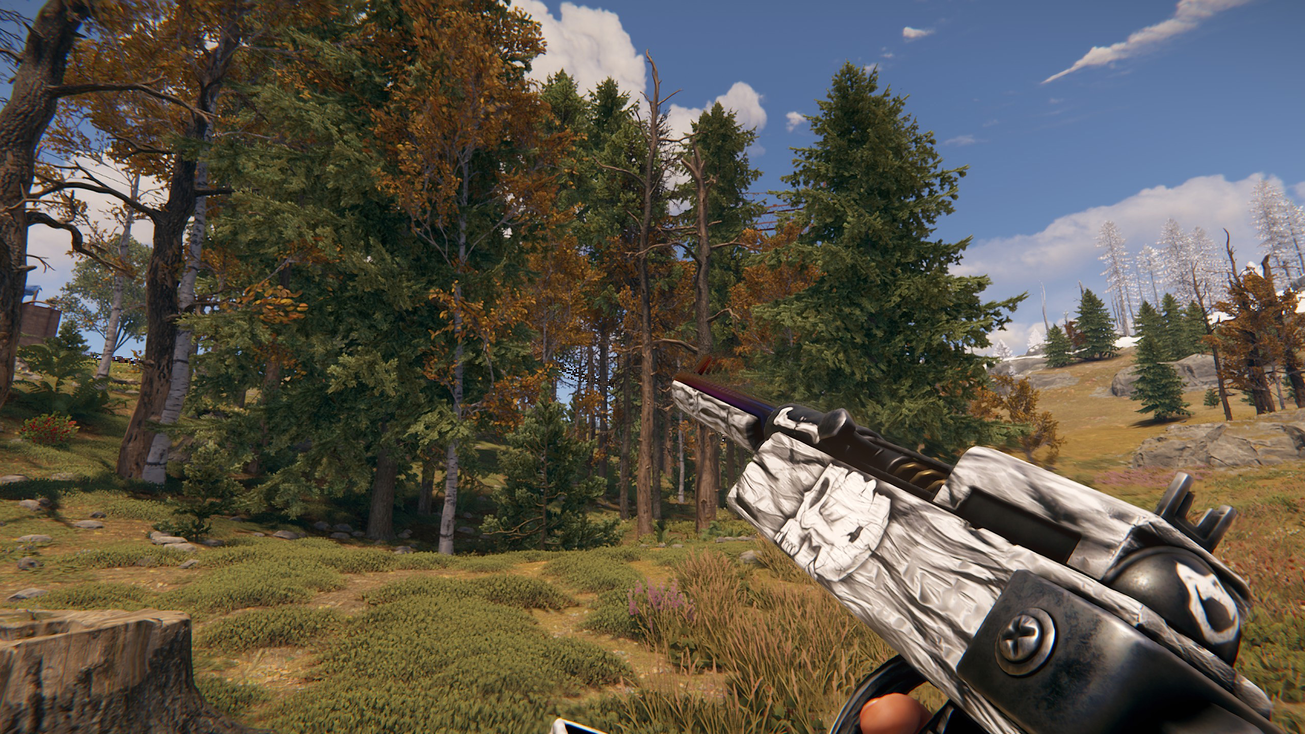 Arctic Skull SAR thumbnail 5