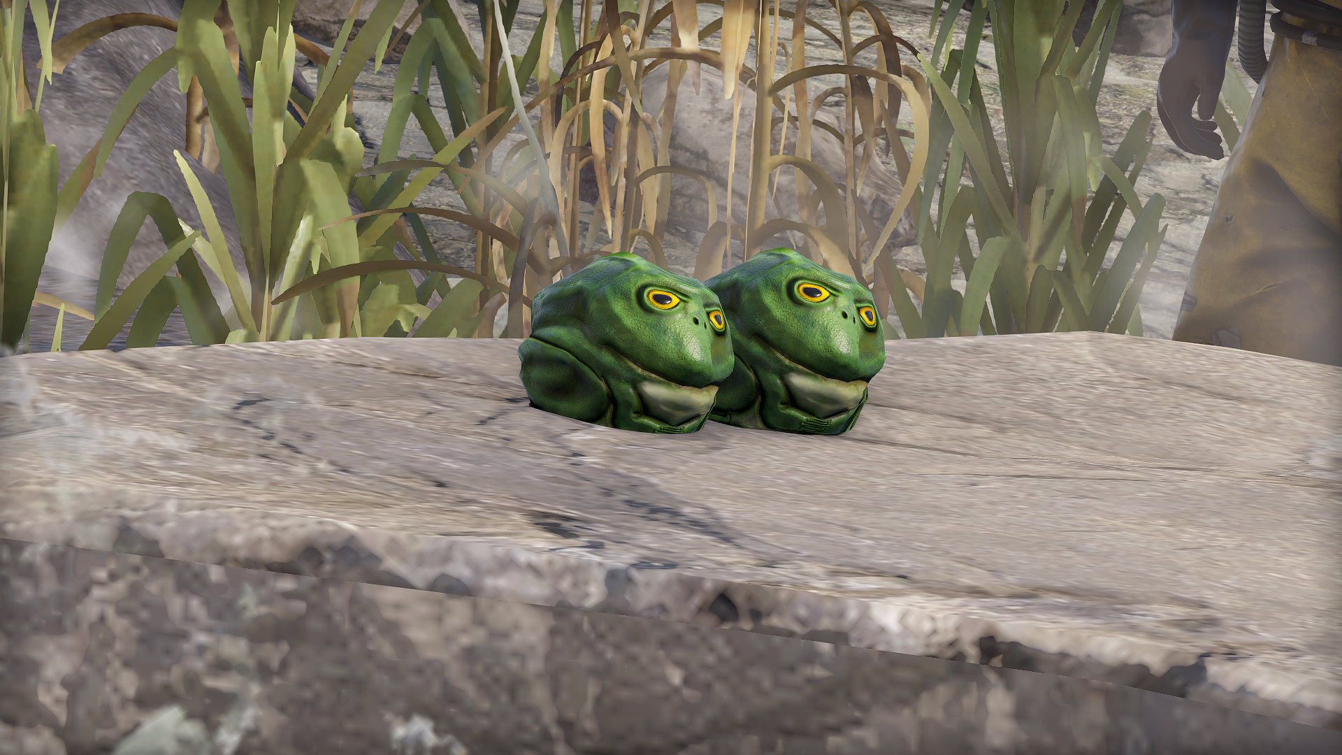 Frog Rock thumbnail 3