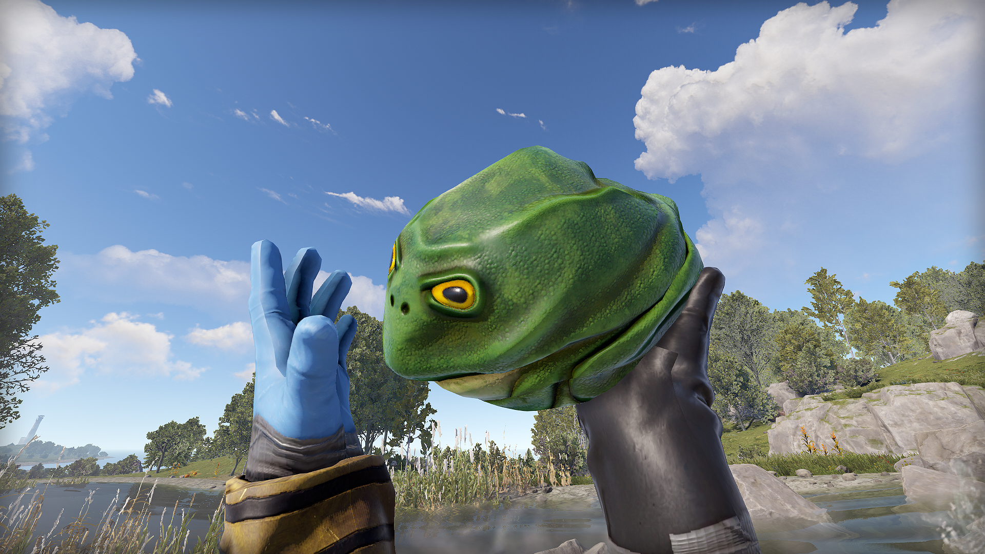 Frog Rock thumbnail 5