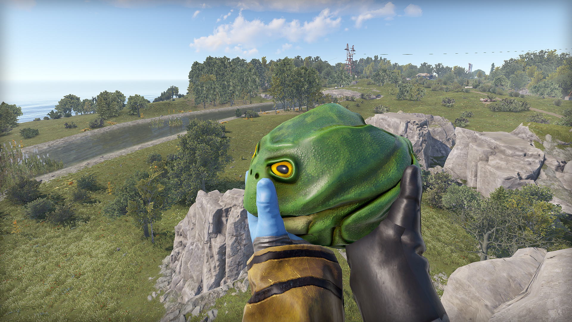 Frog Rock thumbnail 7