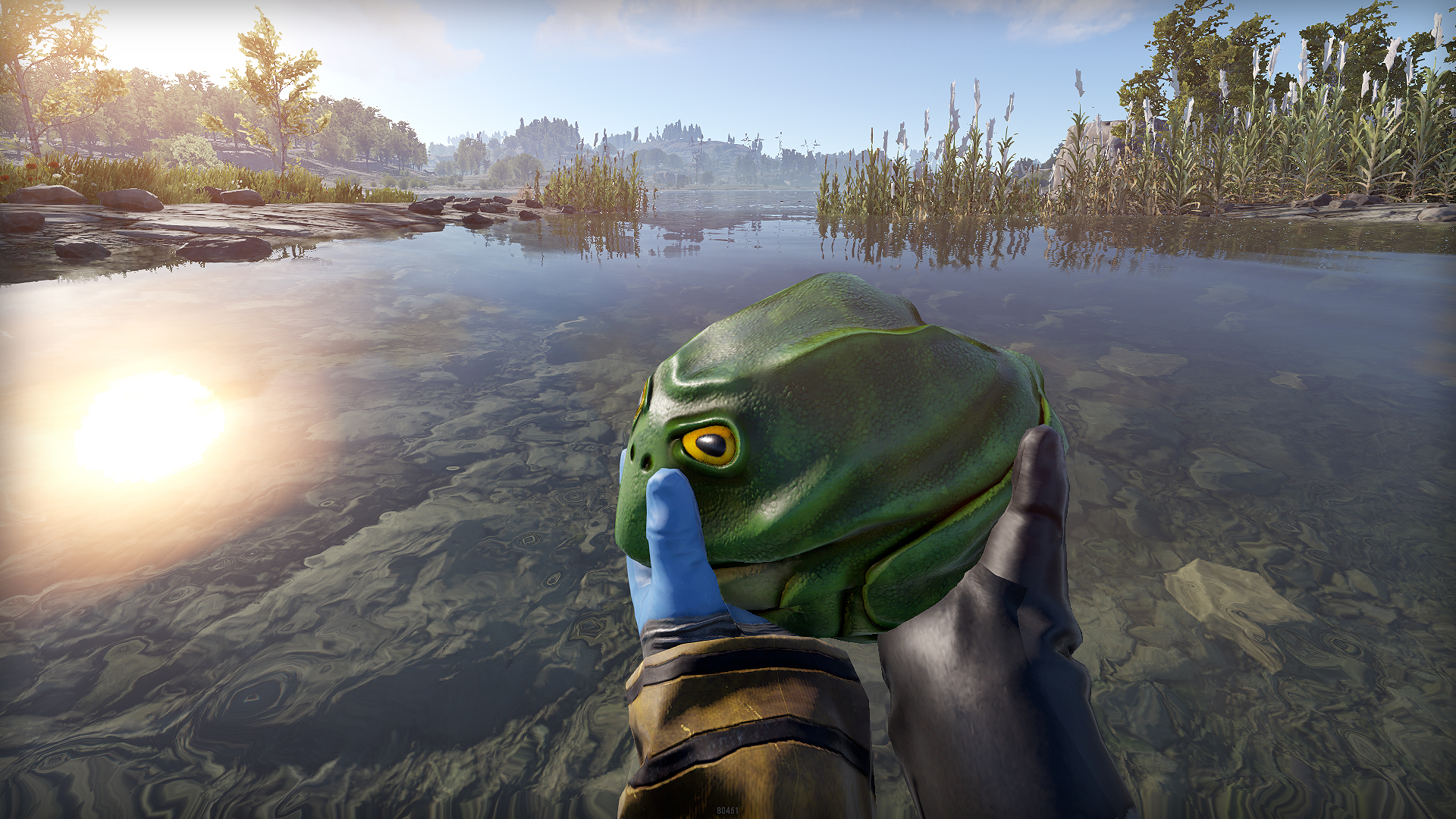 Frog Rock thumbnail 8