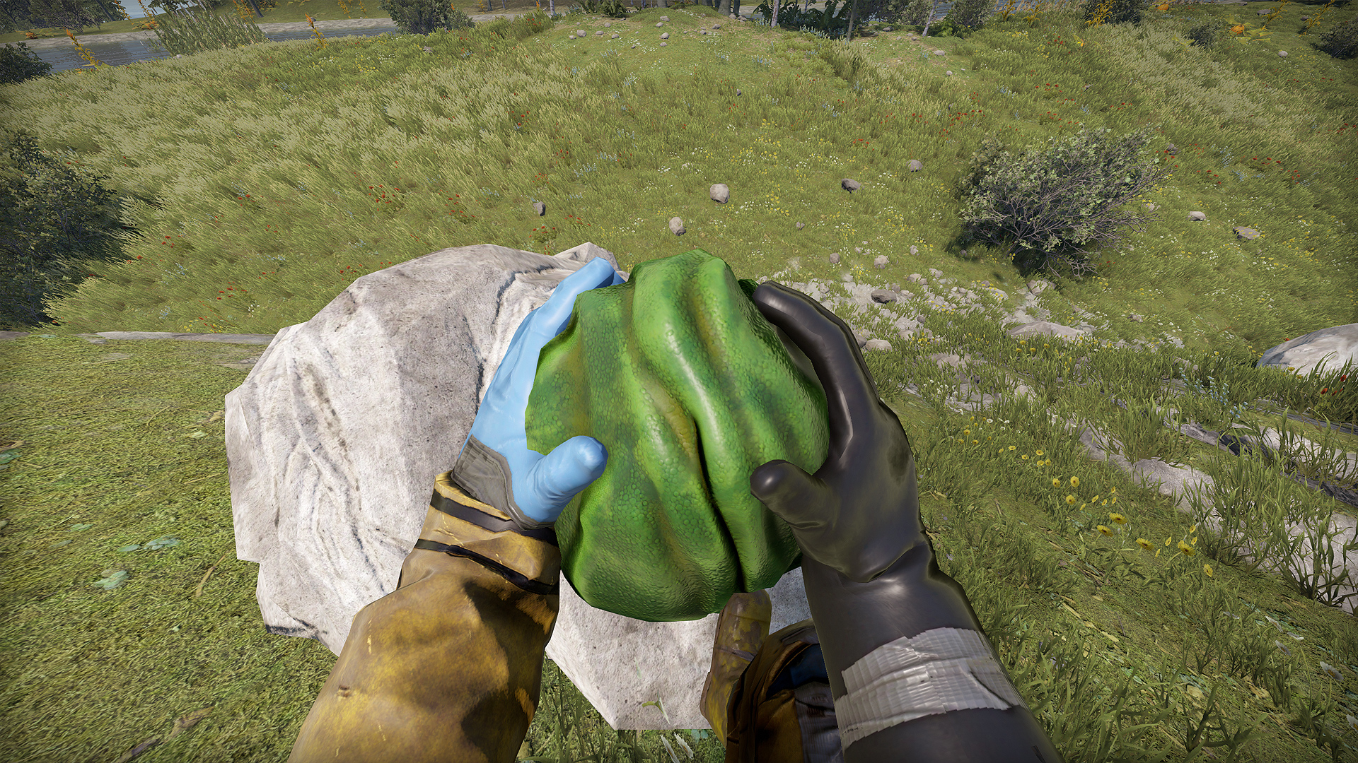 Frog Rock thumbnail 9