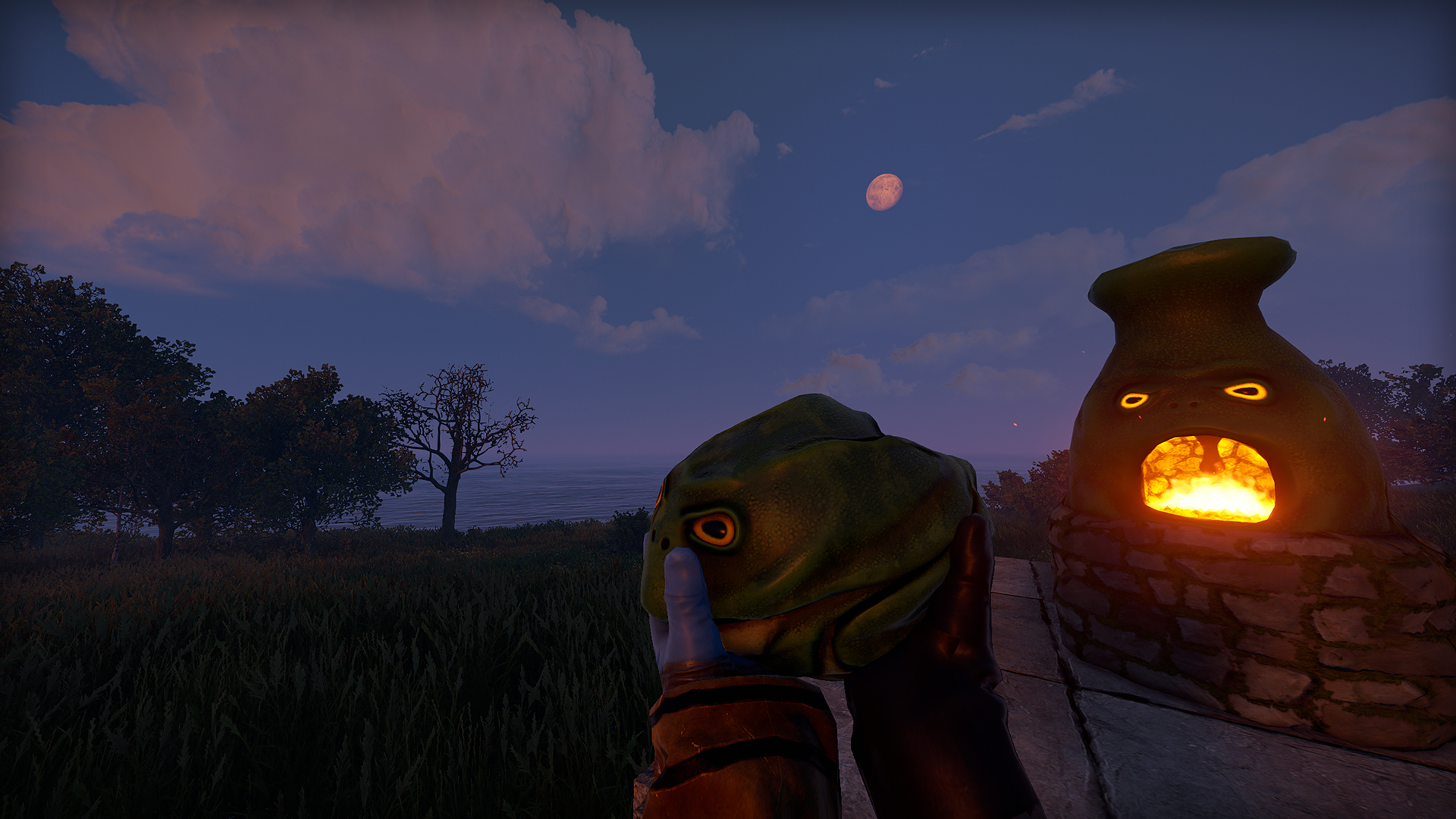 Frog Rock thumbnail 10