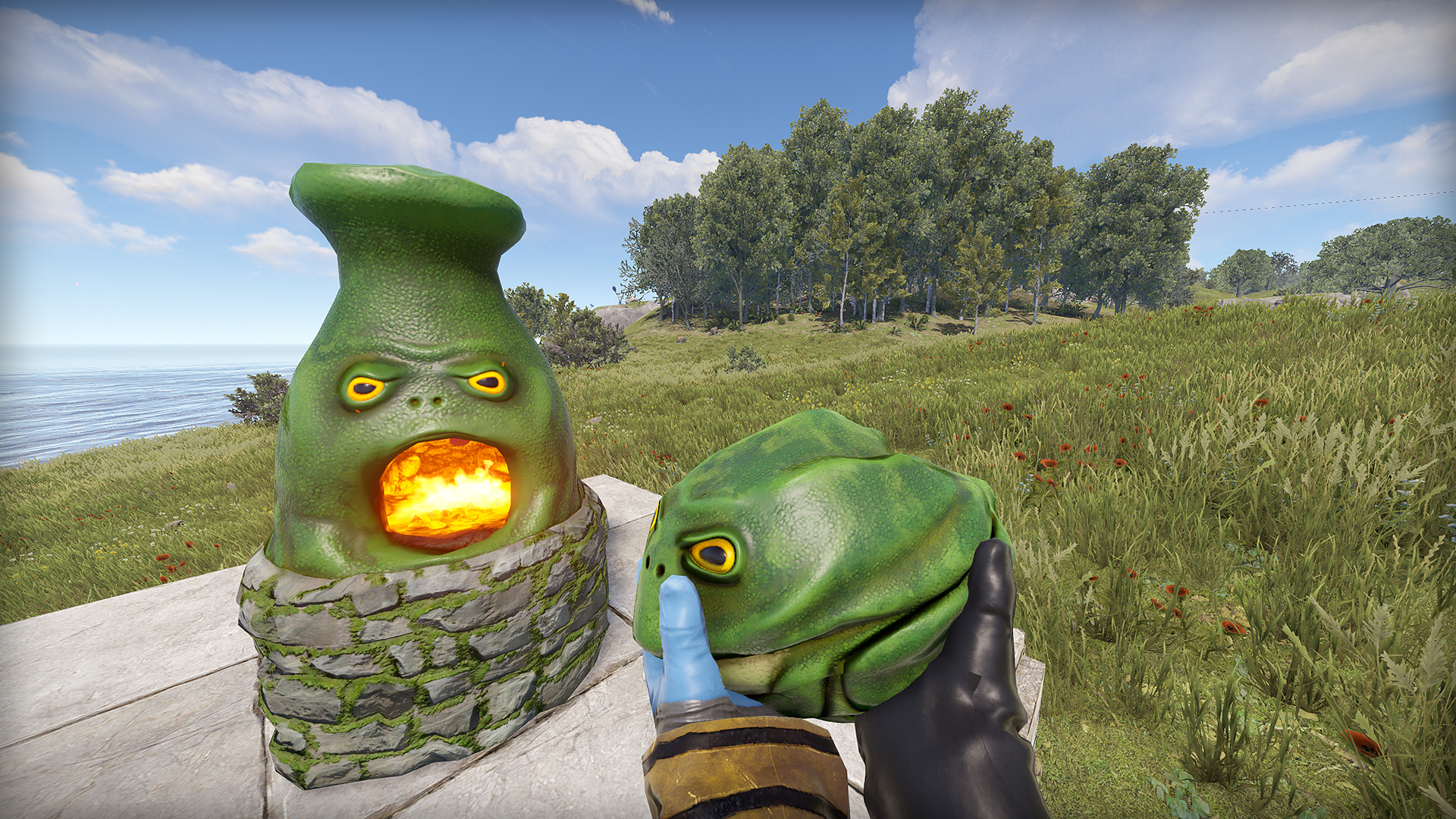 Frog Rock thumbnail 11