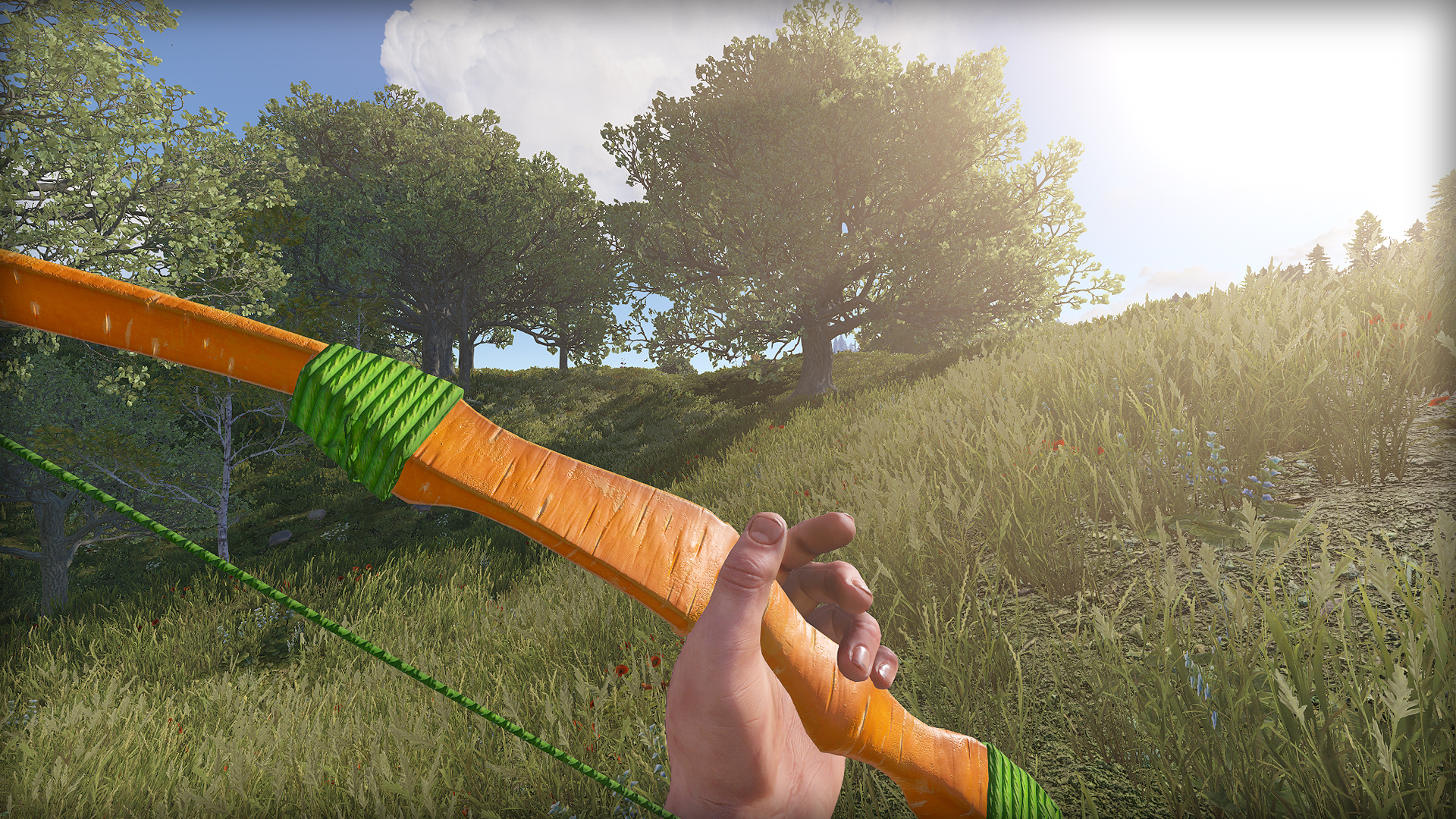 Carrot Bow thumbnail 4