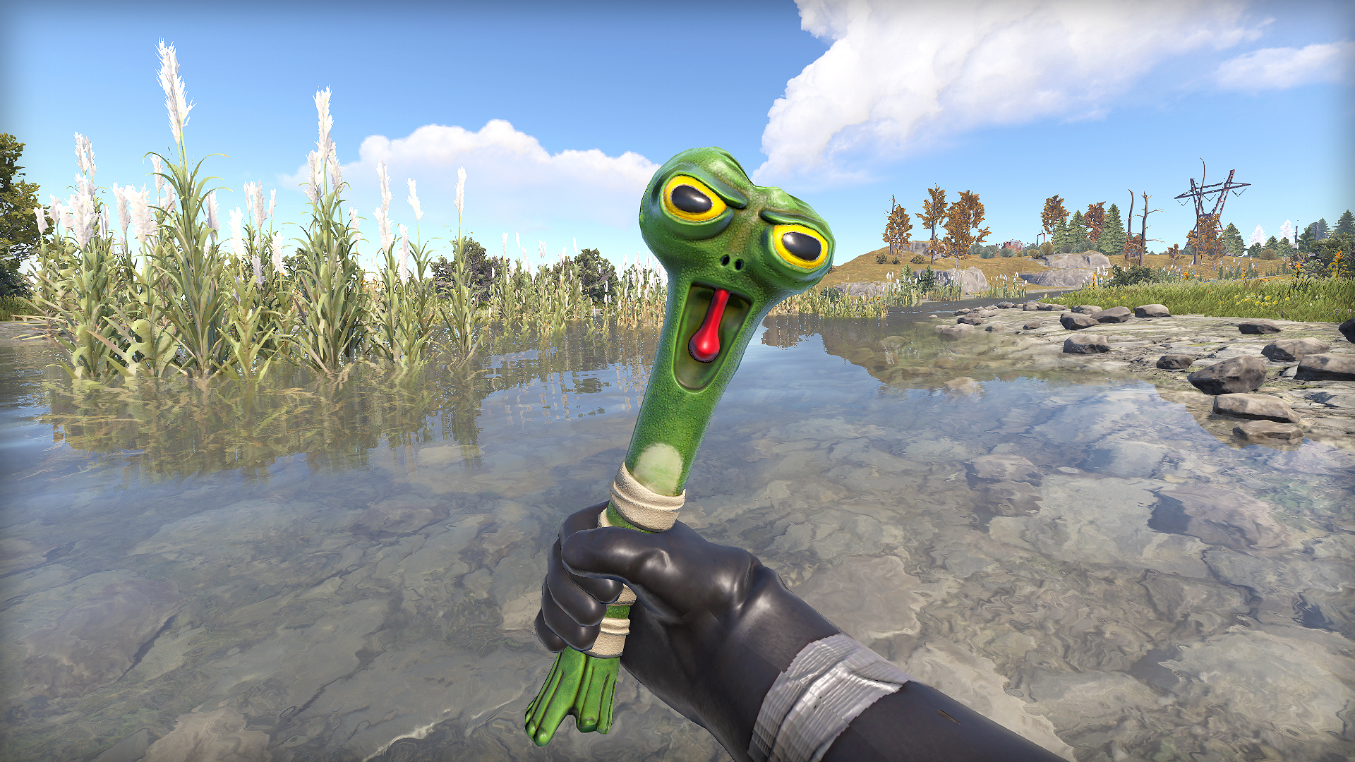 Frog Club thumbnail 9