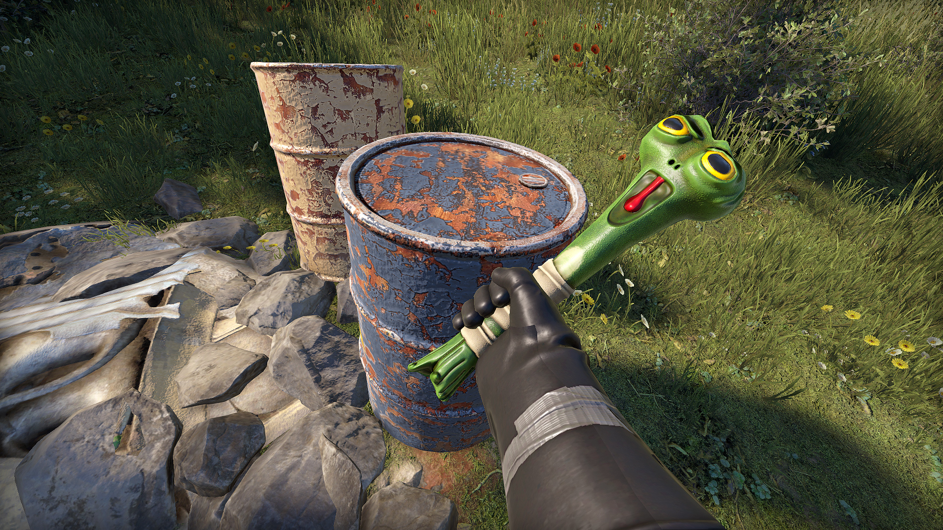 Frog Club thumbnail 10