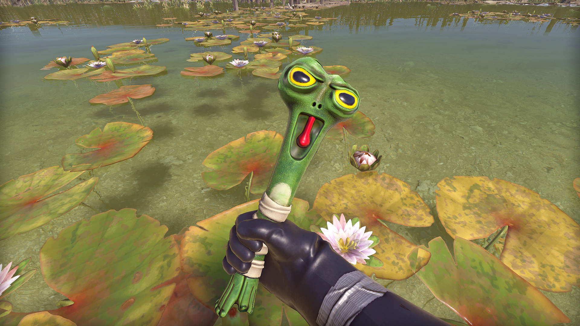 Frog Club thumbnail 11