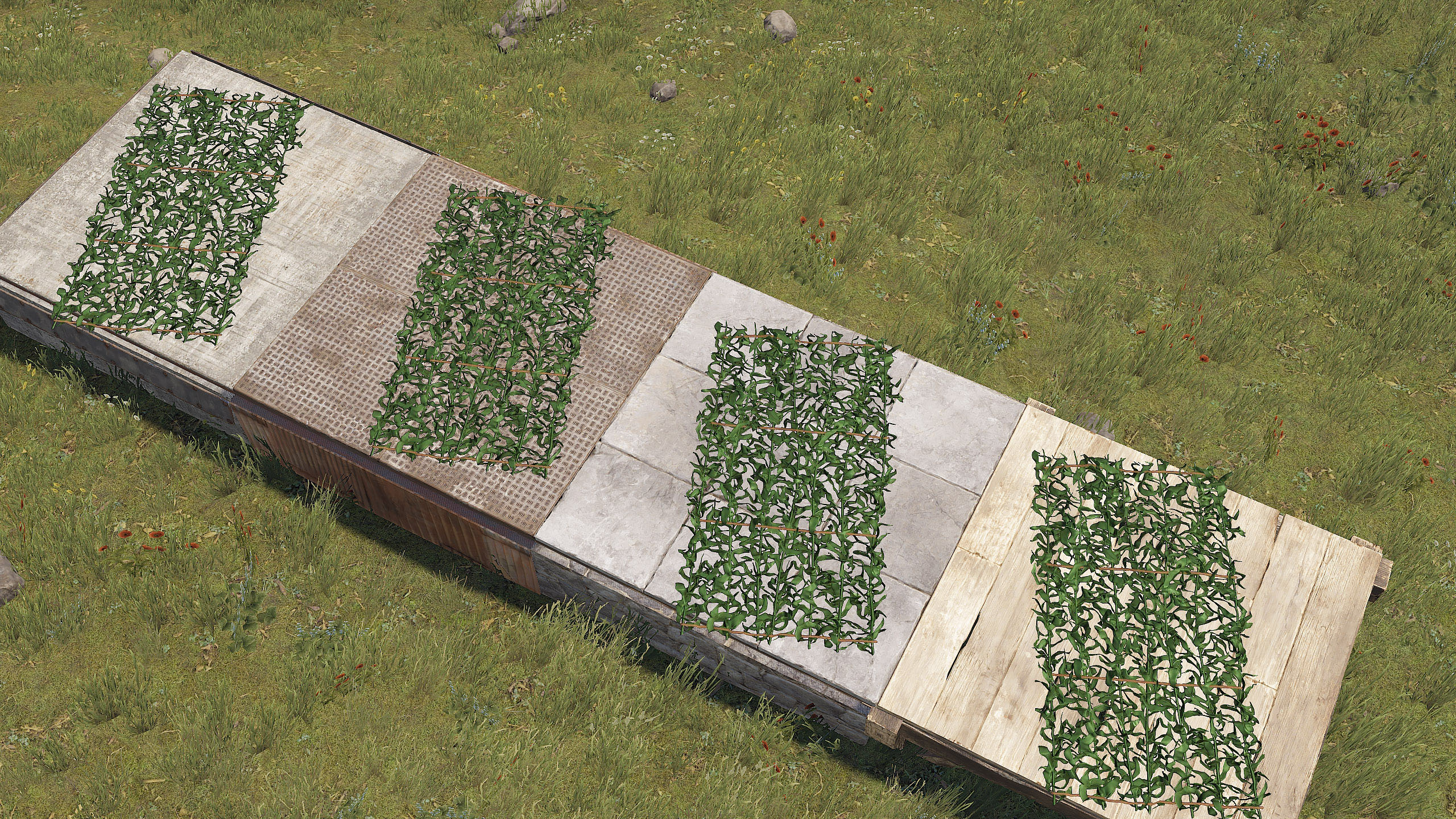 Kelp Rug thumbnail 5