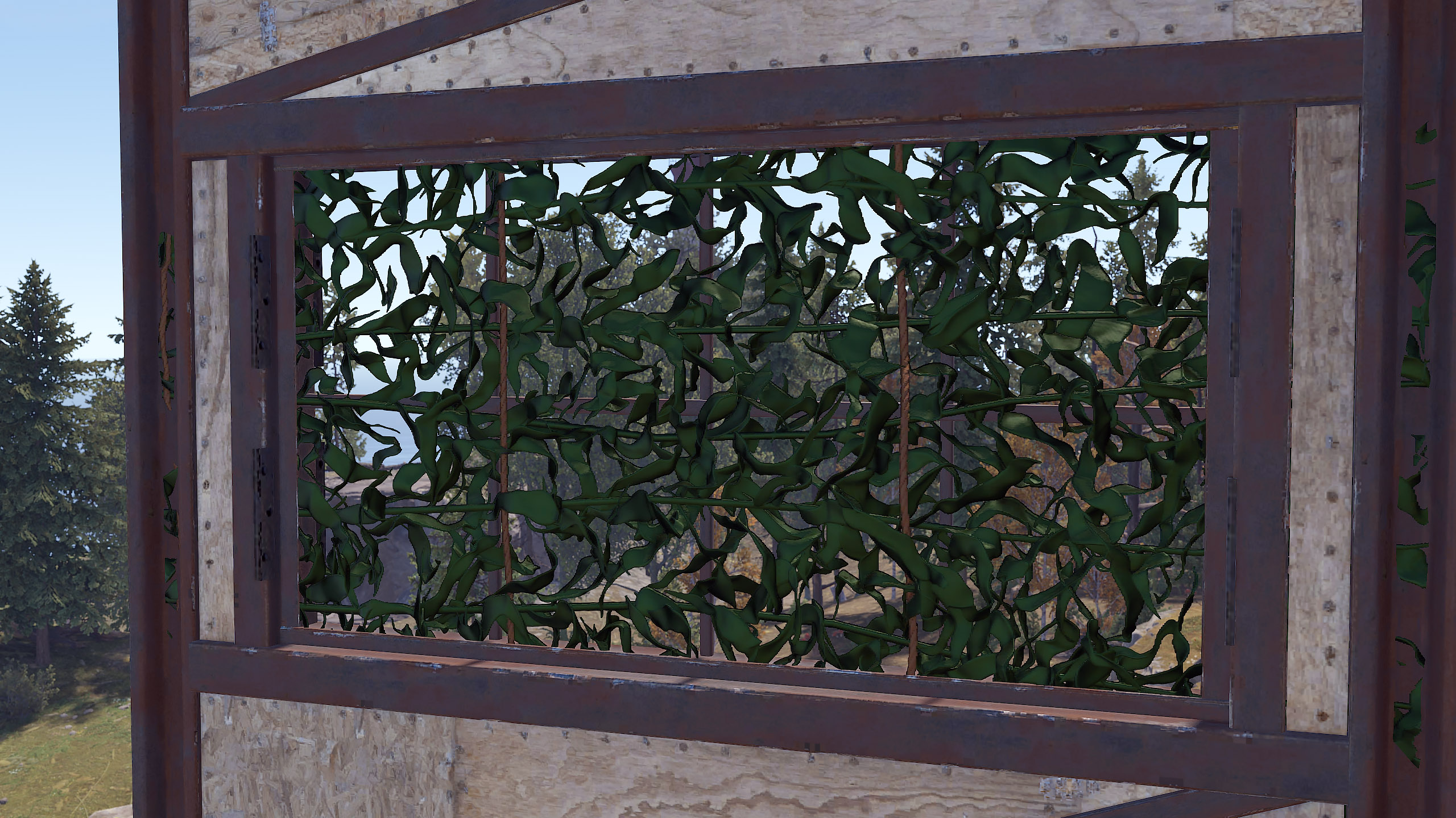 Kelp Rug thumbnail 6