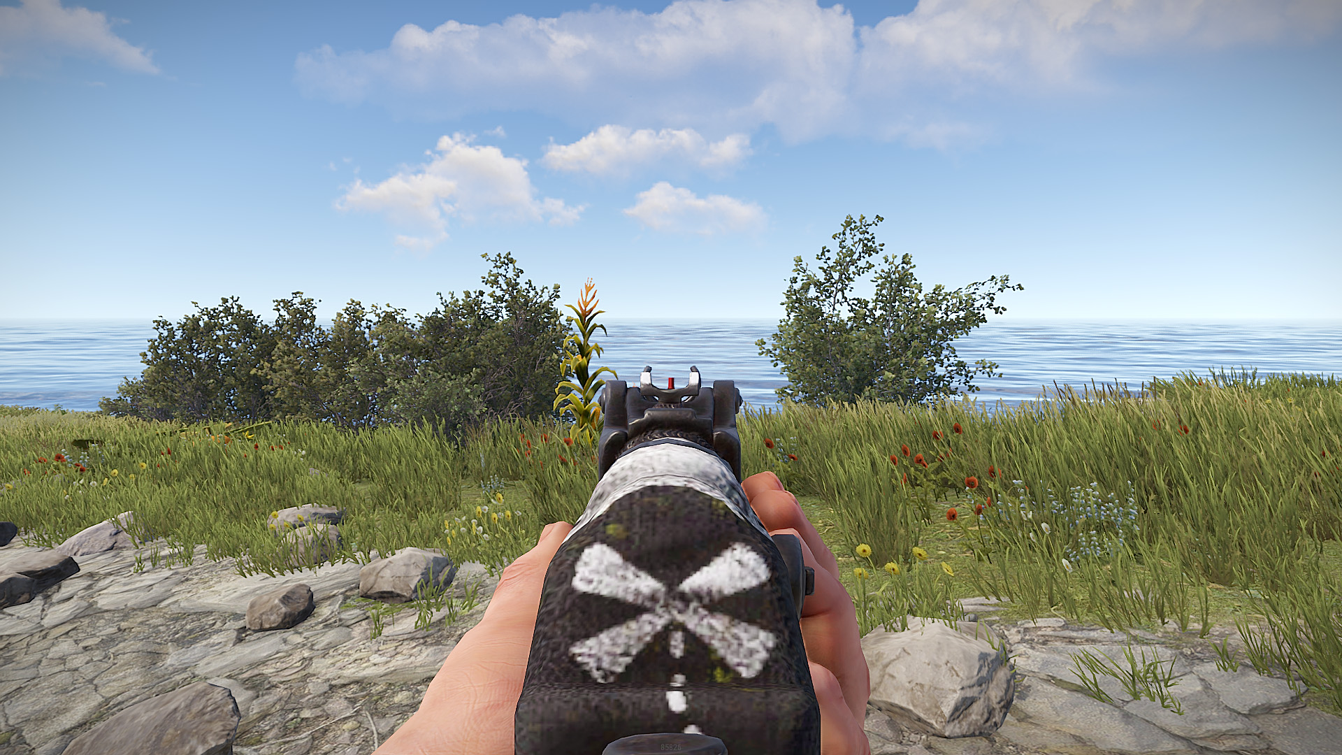 Pirate AR thumbnail 2