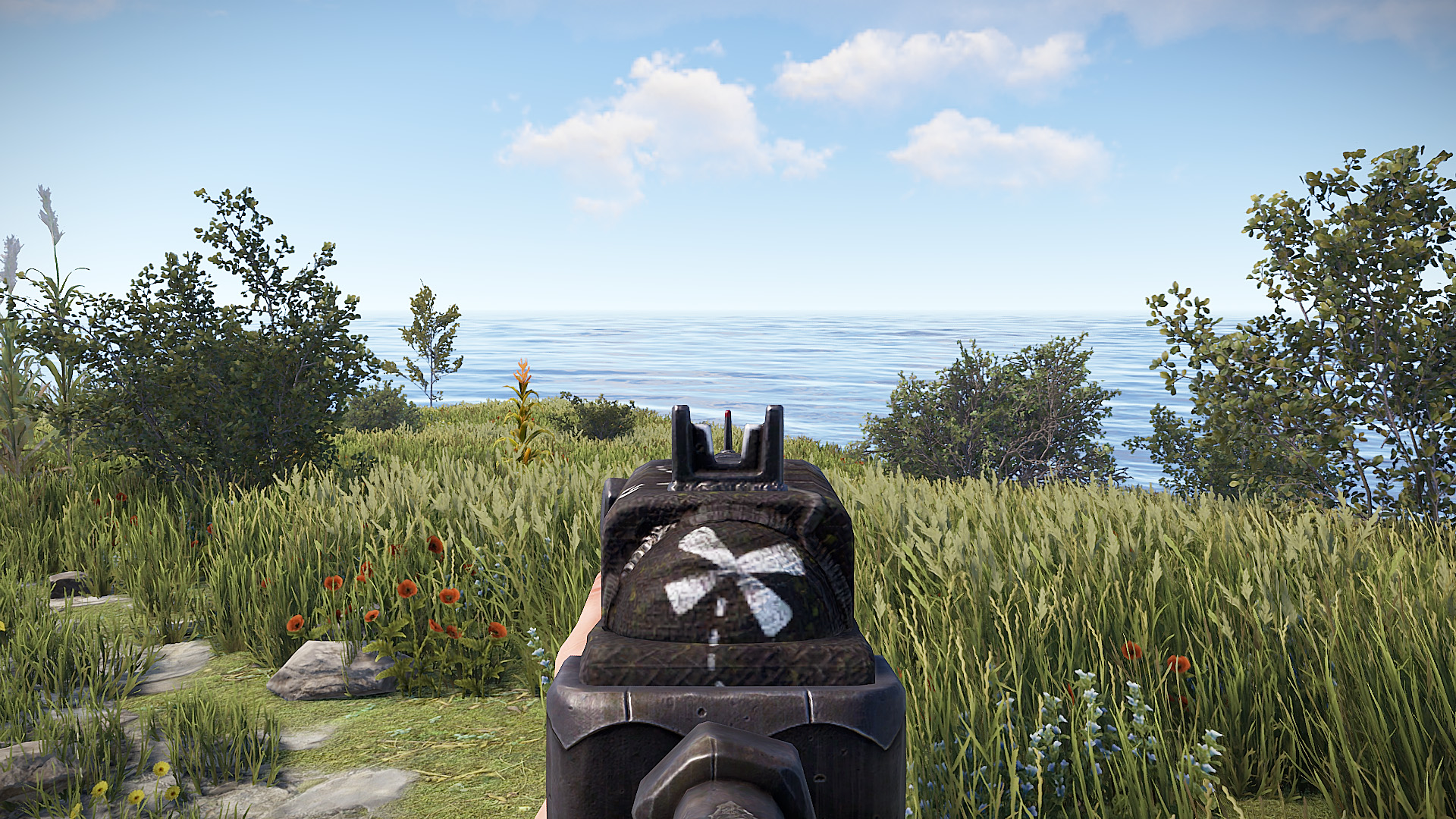 Pirate SAR thumbnail 2