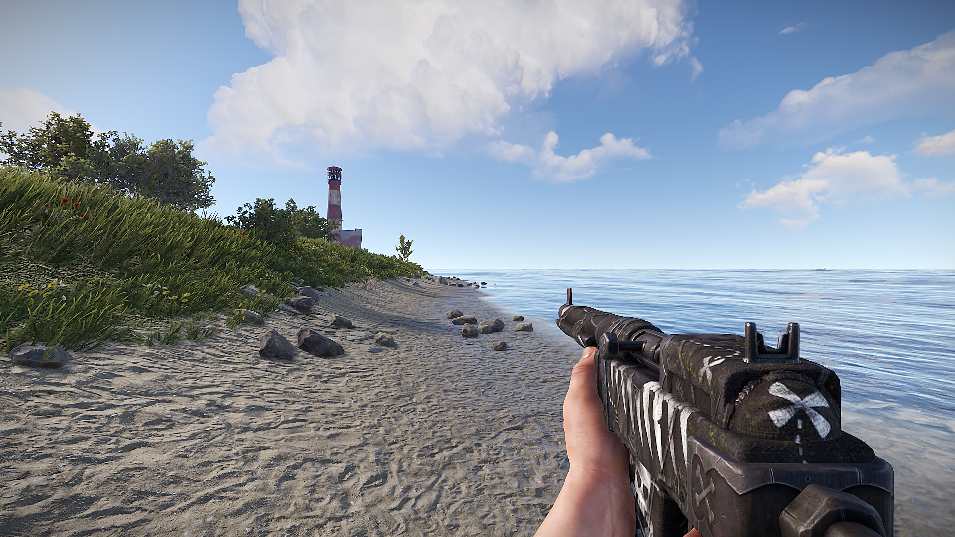 Pirate SAR thumbnail 6