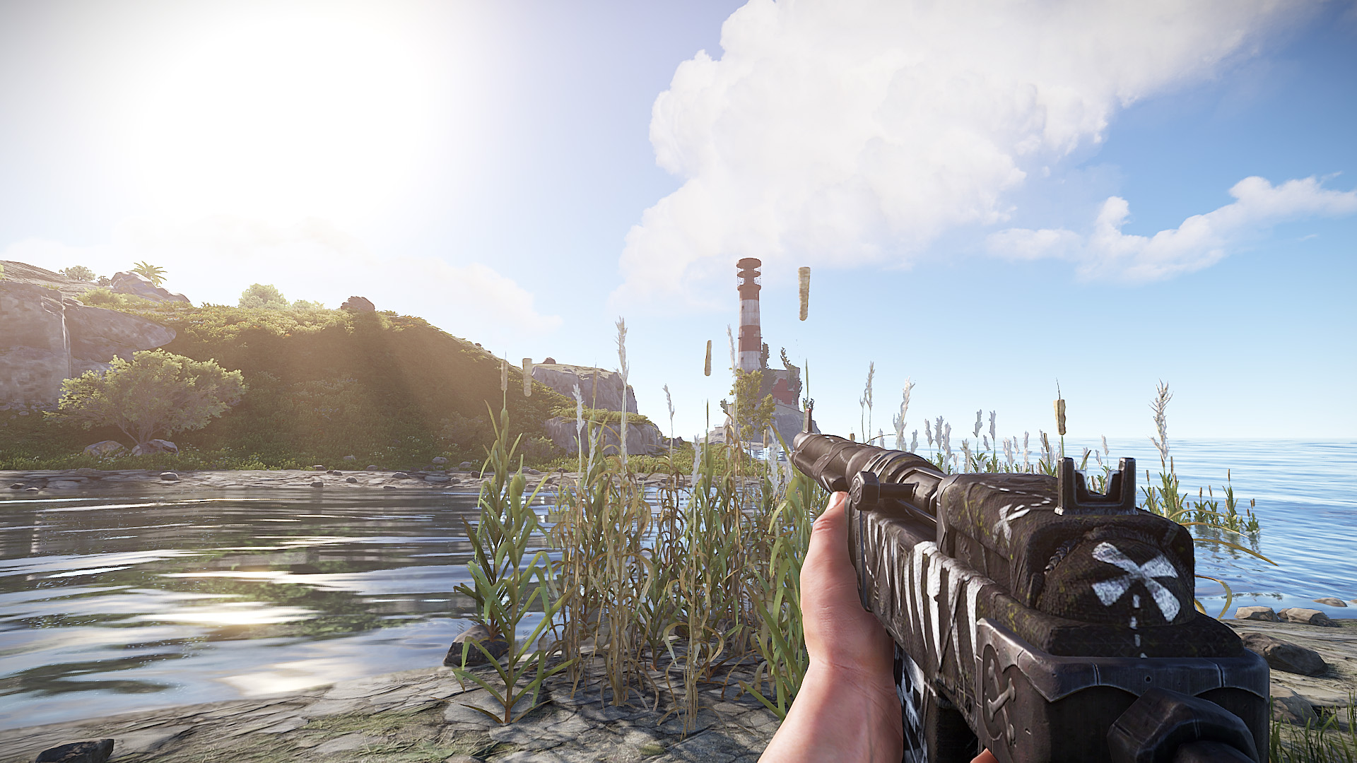 Pirate SAR thumbnail 7