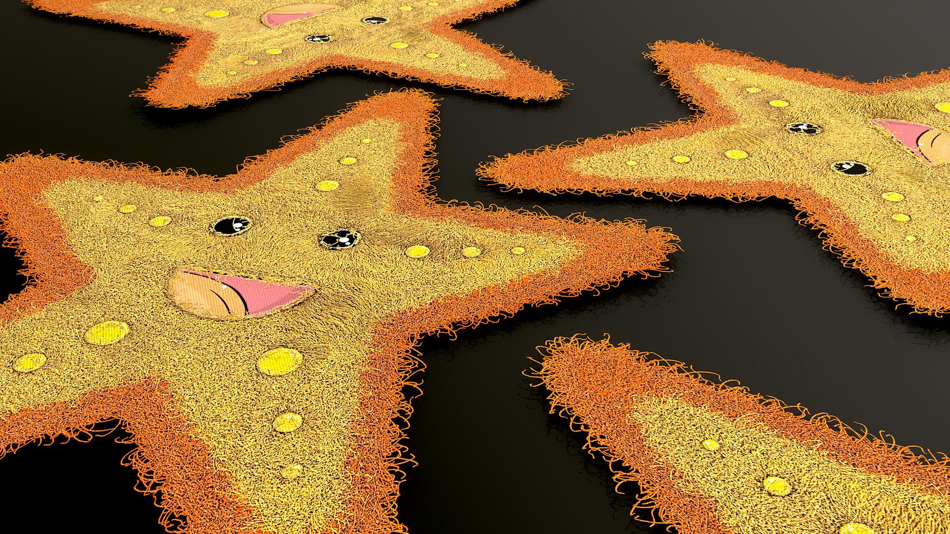 Starfish Rug screenshot 1