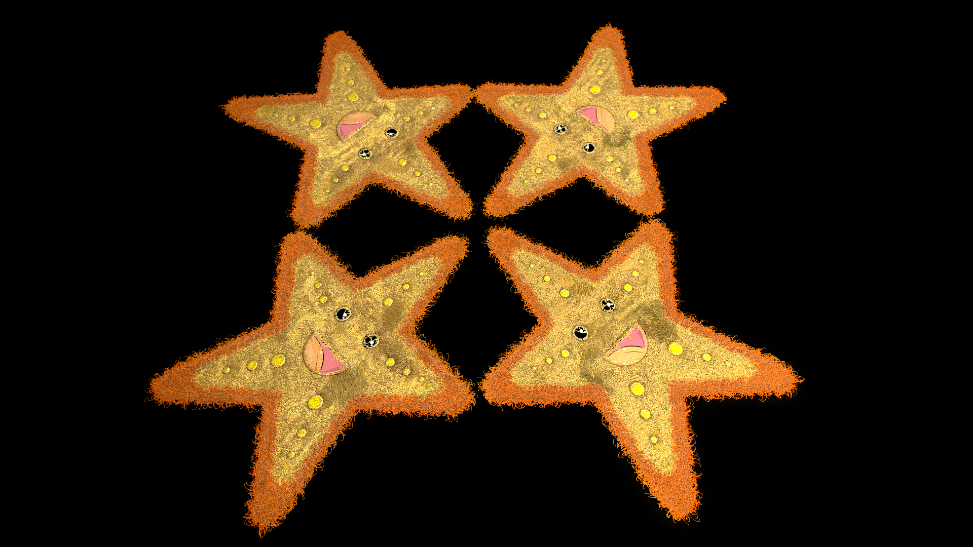 Starfish Rug thumbnail 8