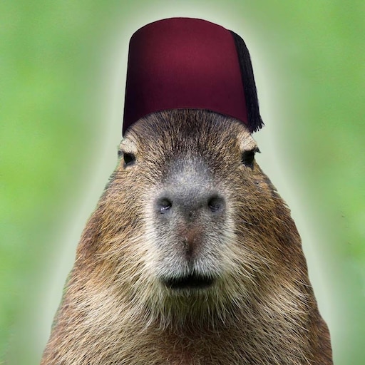 Капибара фото смешные на аватарку Капибара фото смешные на аватарку