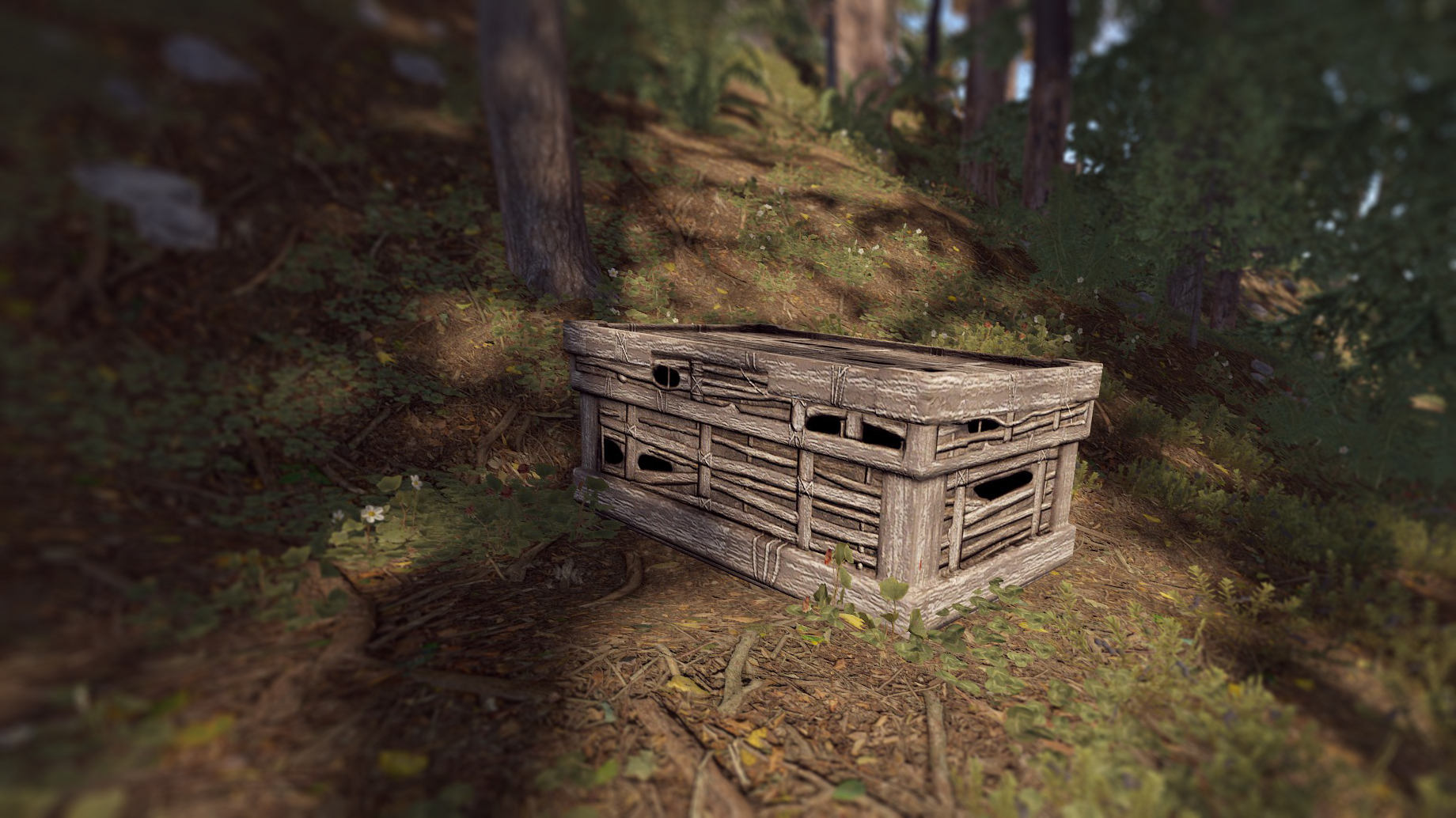 Twig Large Box thumbnail 3