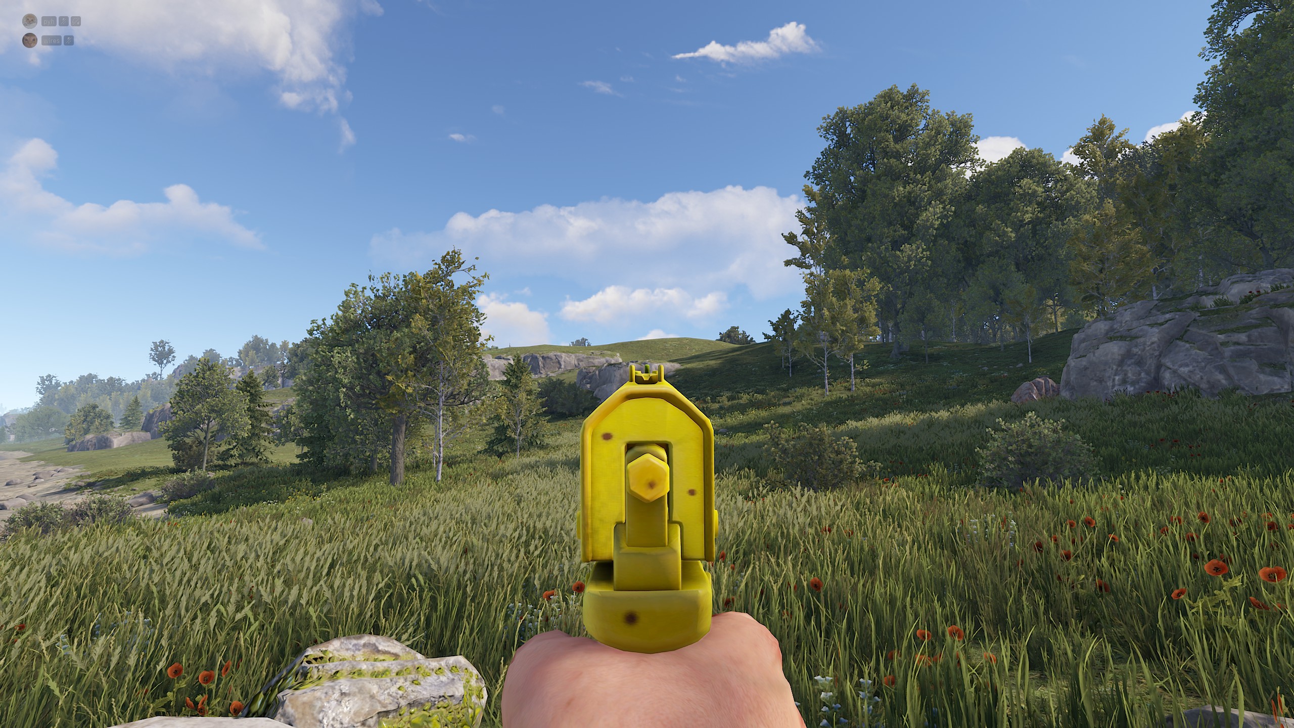 SAPnana thumbnail 6