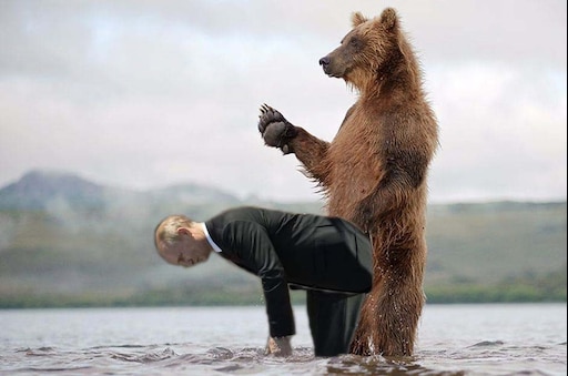 Путин на медведе фото Путин на медведе фото