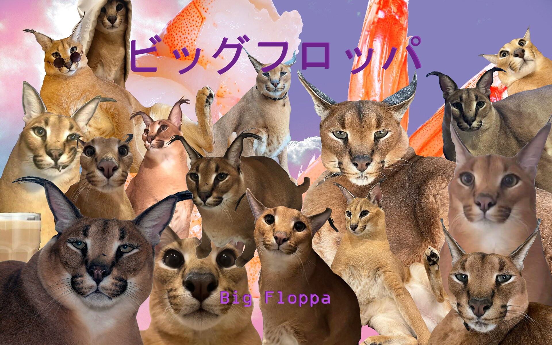 ARE YOU TELLING ME FLOPPA ISNT IN THE GAME!? (OR JUST A CARACAL CAT) :  r/animalroyale