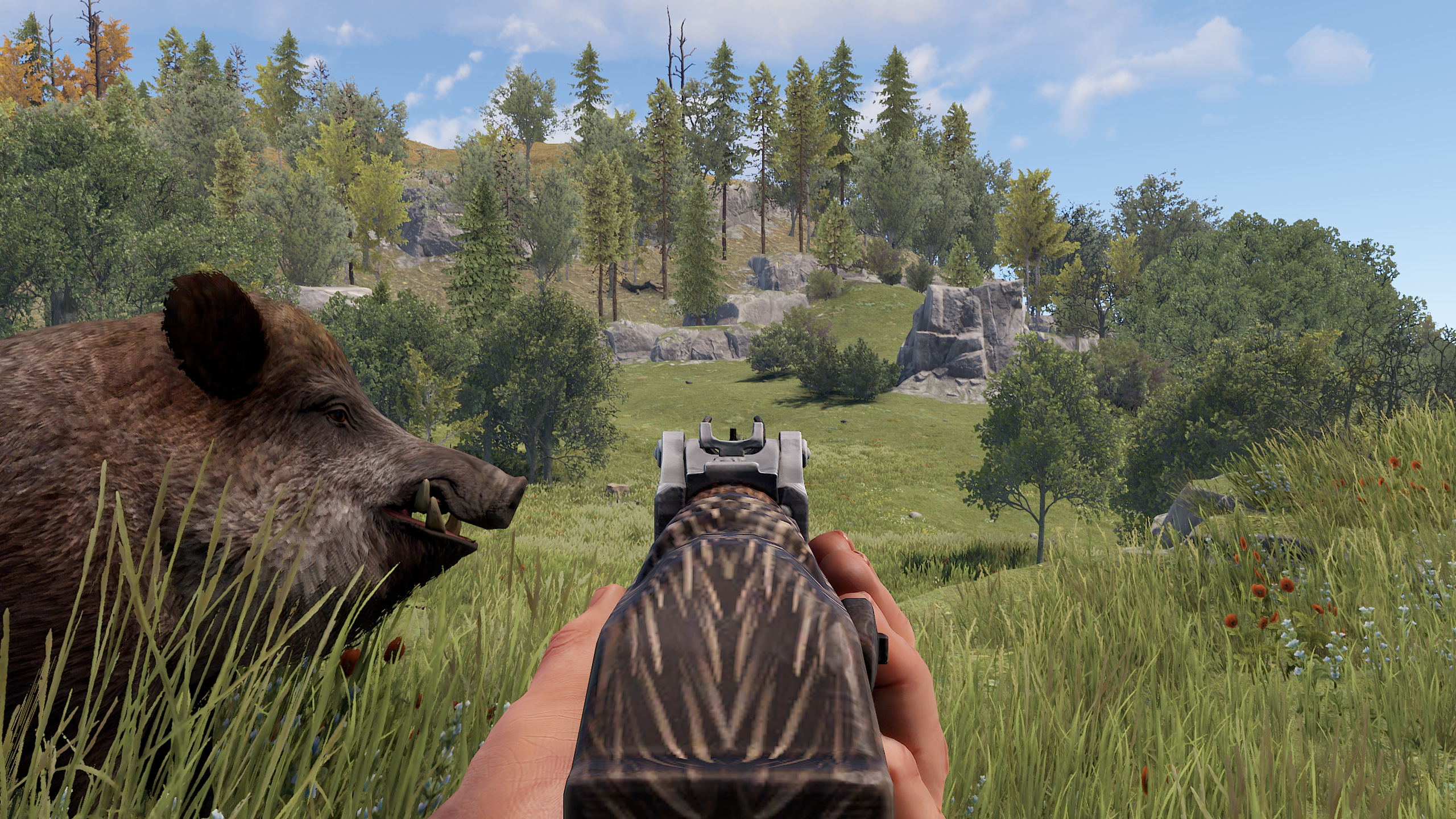 Wild Boar AR thumbnail 5