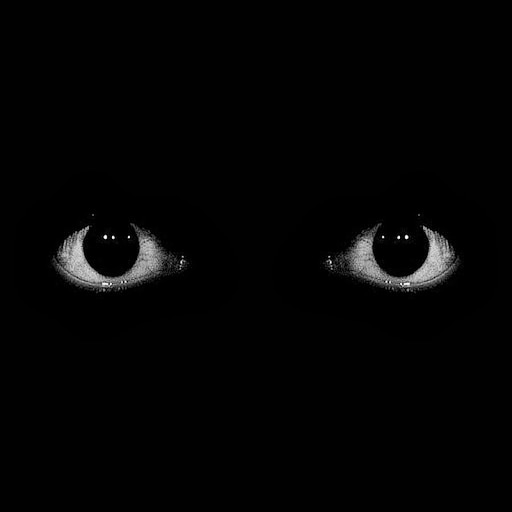 Глаза в темноте