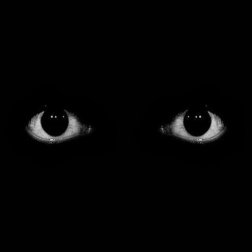 Как выглядит темнота в глазах Как выглядит темнота в глазах