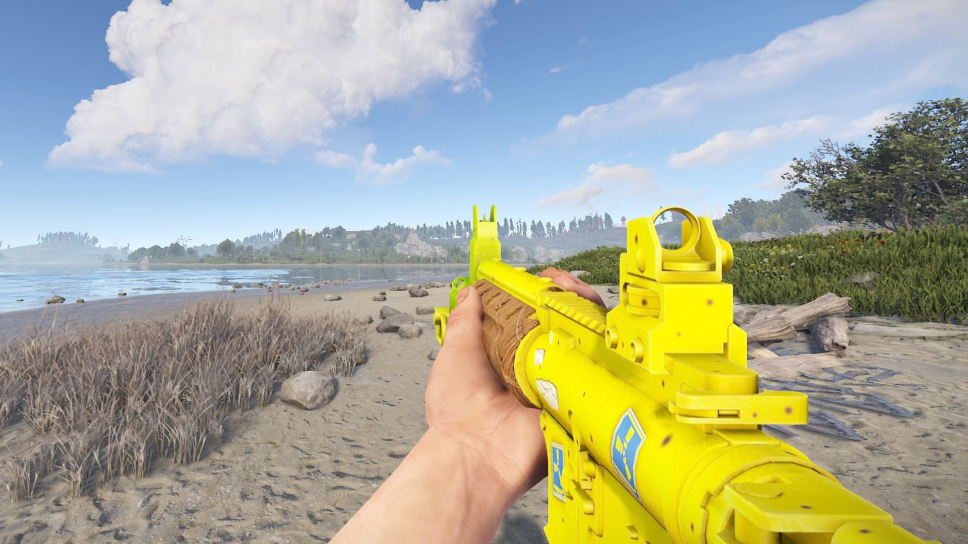 LRnana thumbnail 2