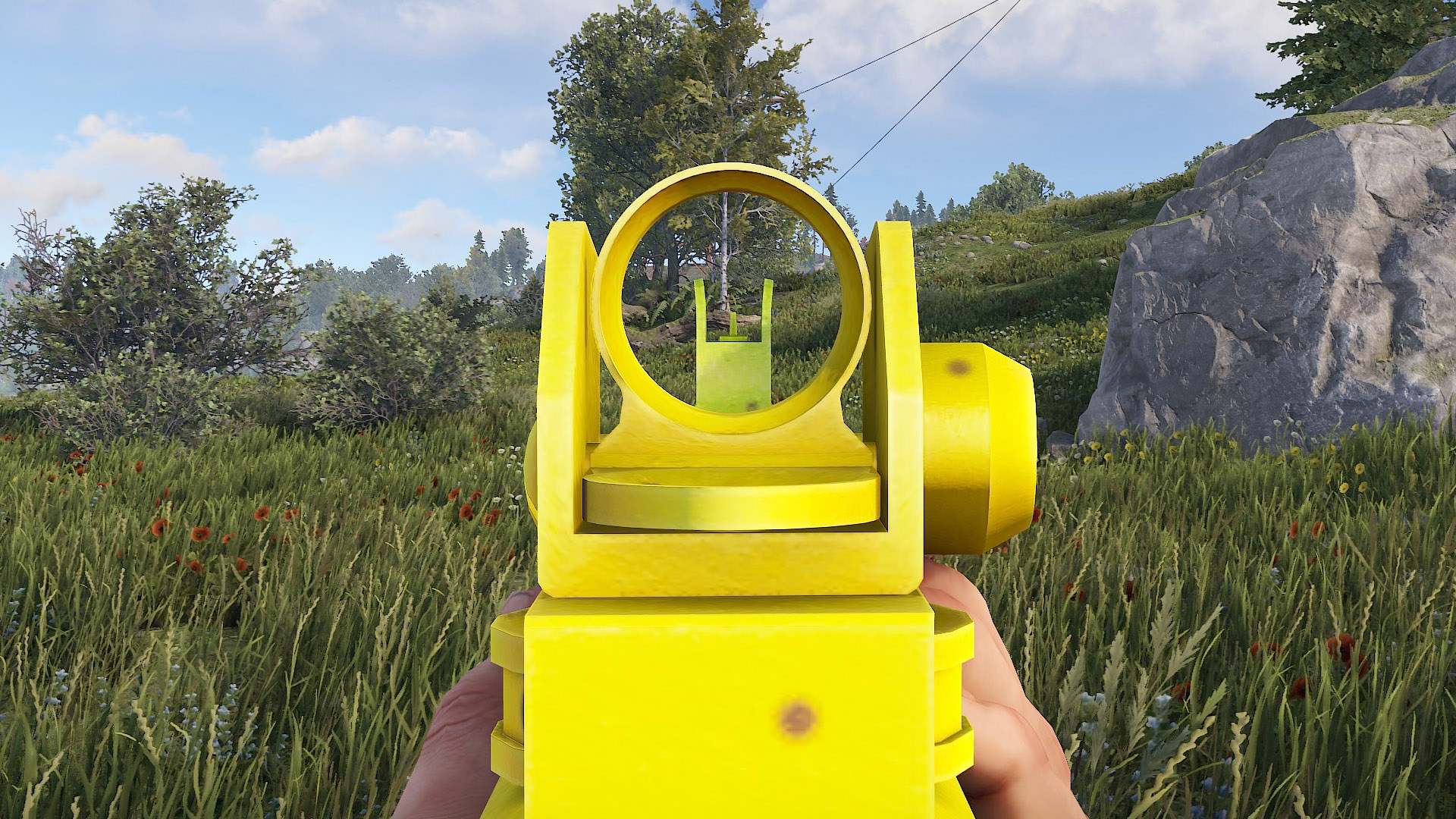 LRnana thumbnail 3
