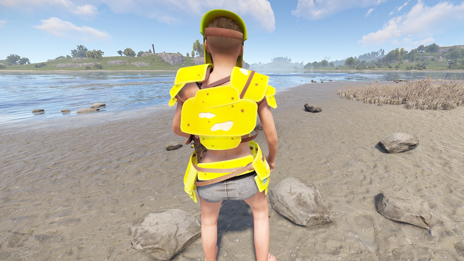 Vestnana thumbnail 3