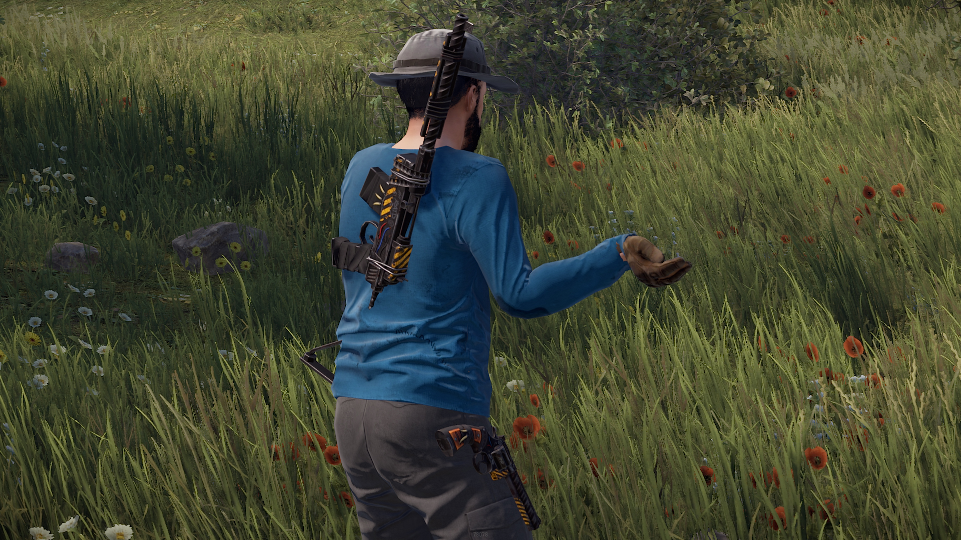 Wasteland SAR thumbnail 9
