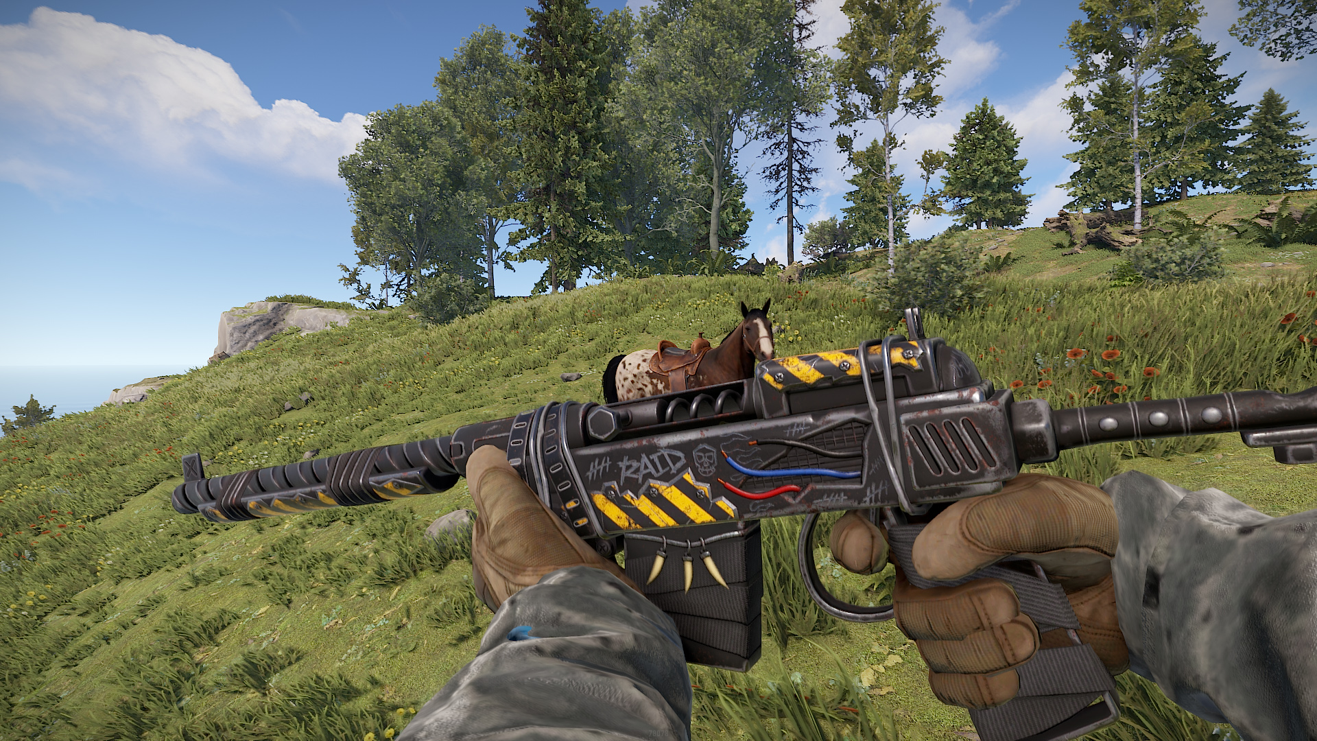 Wasteland SAR thumbnail 5